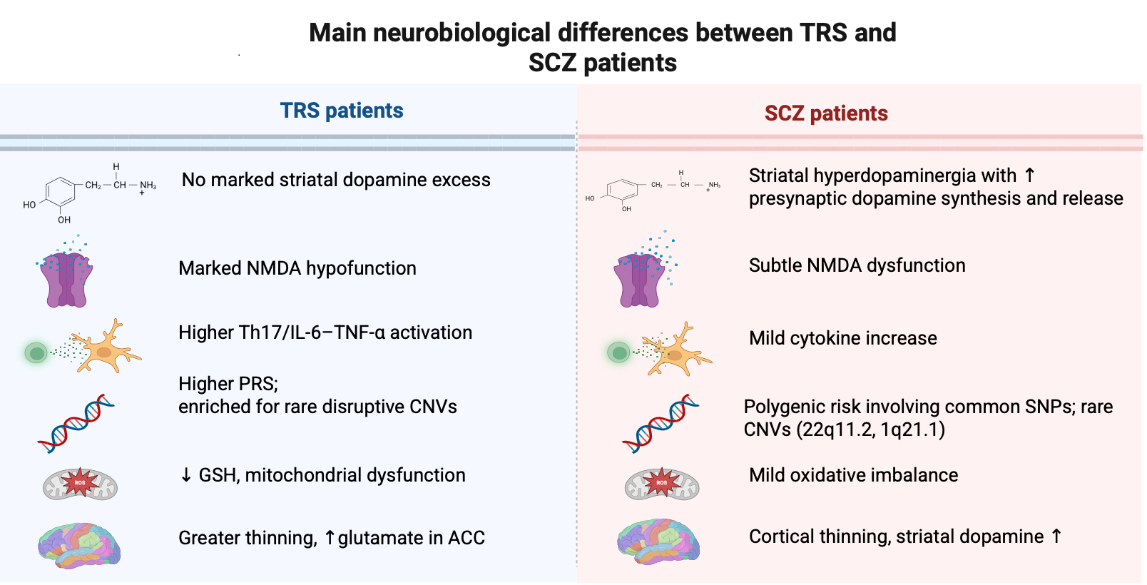 T GENEG A New Frontier in Cystic Fibrosis Pathophysiology: How and