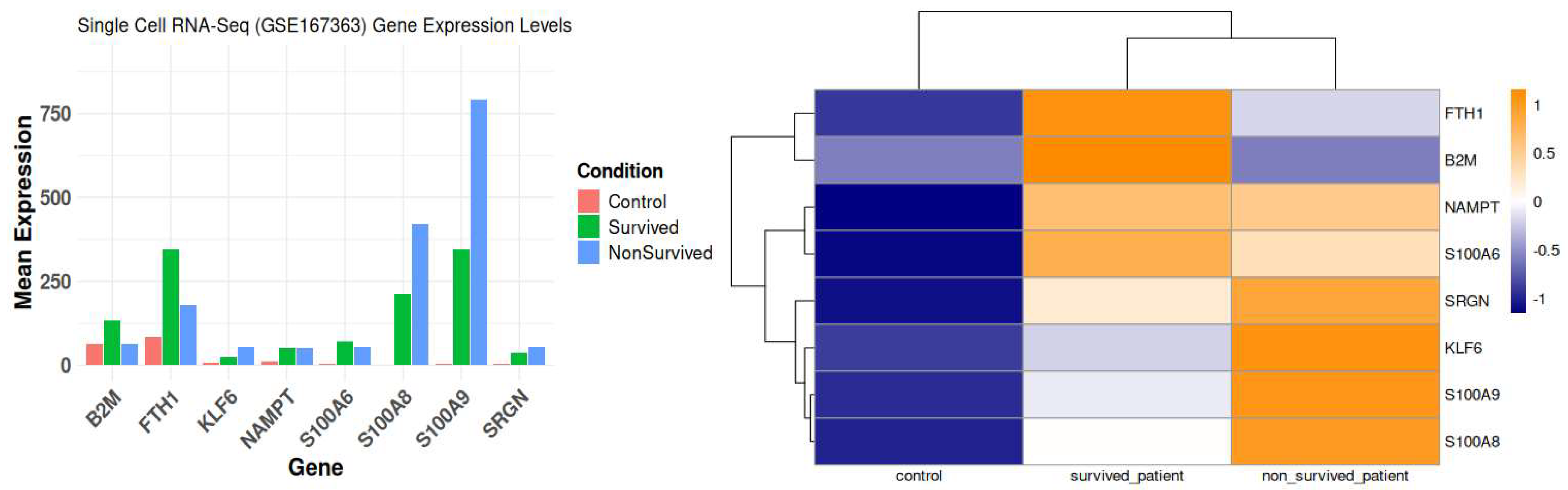 Integrated Transcriptomic Analysis of S100A8/A9 as a Key Biomarker and ...