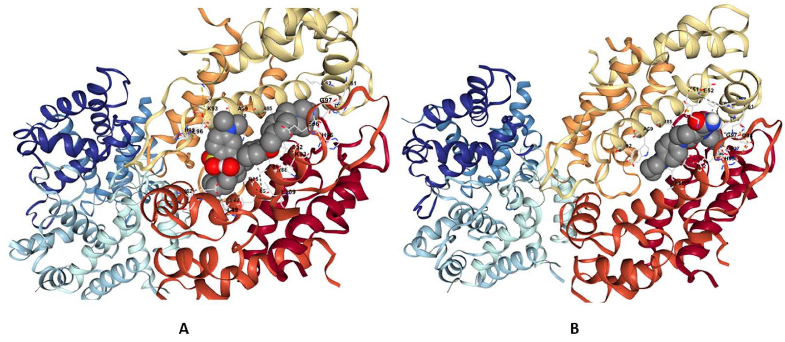 Integrated Transcriptomic Analysis of S100A8/A9 as a Key Biomarker and ...