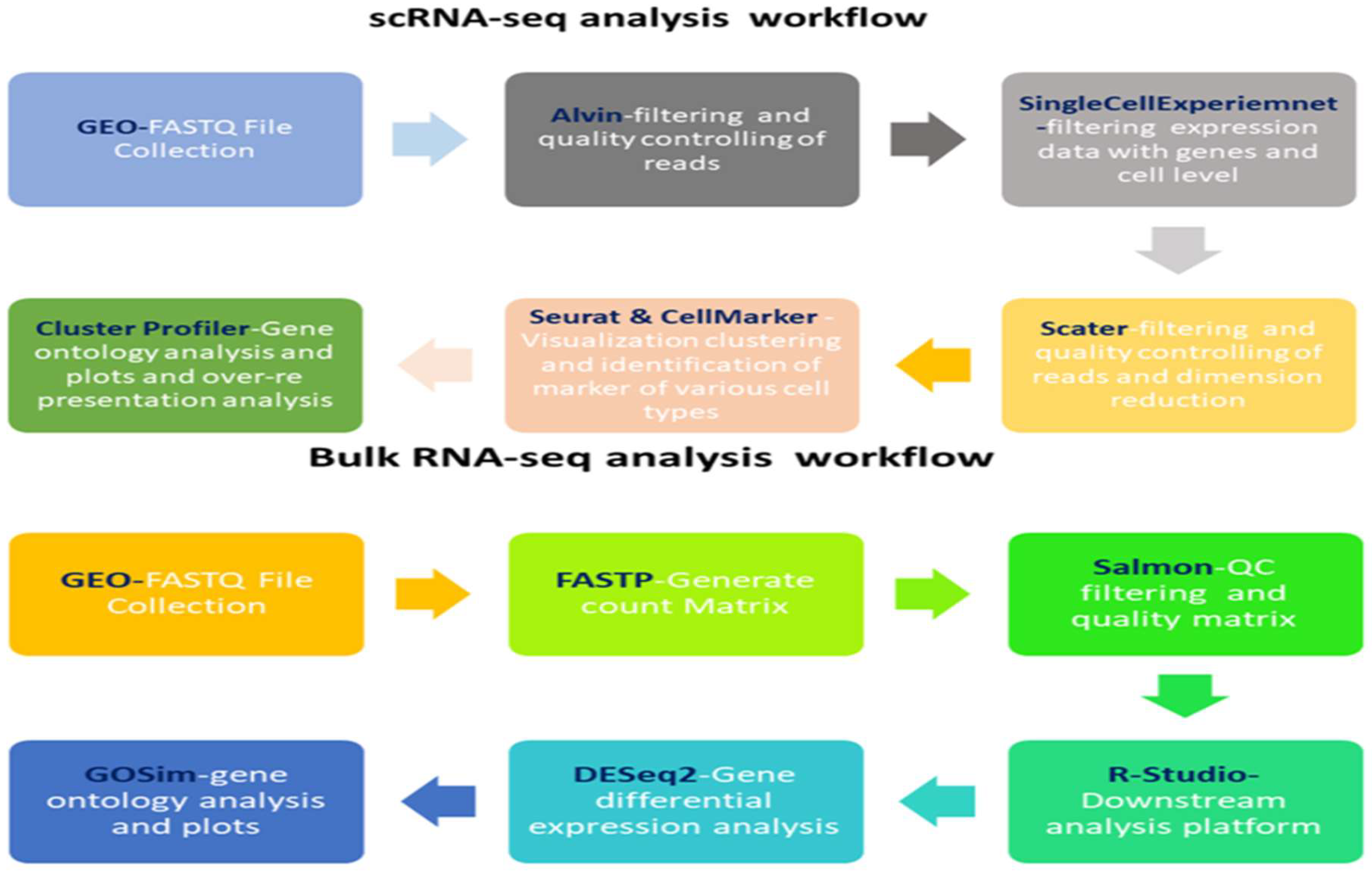 Integrated Transcriptomic Analysis of S100A8/A9 as a Key Biomarker and ...