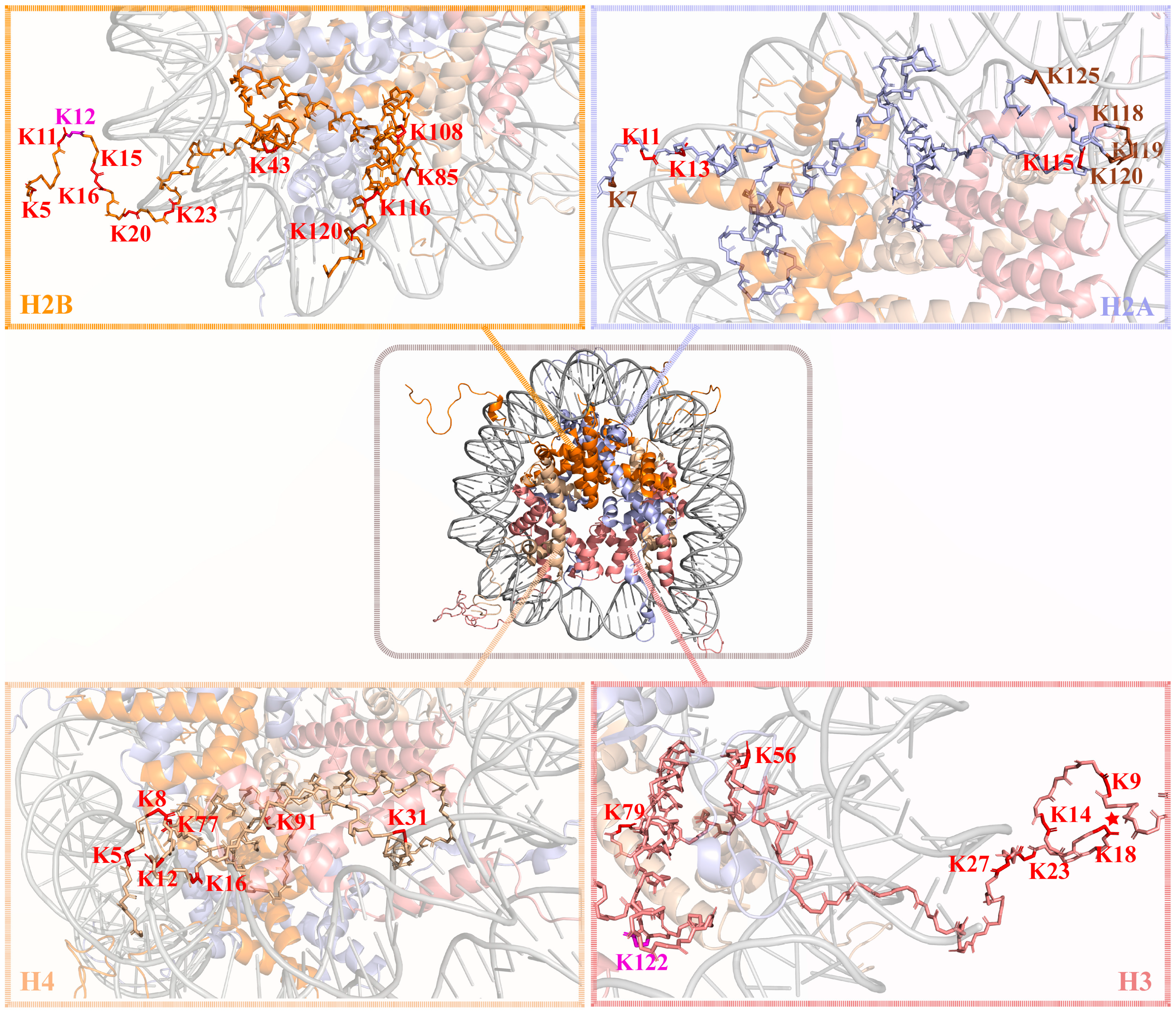 Targeting Lactylation for Cancer: Mechanisms, Effects, and