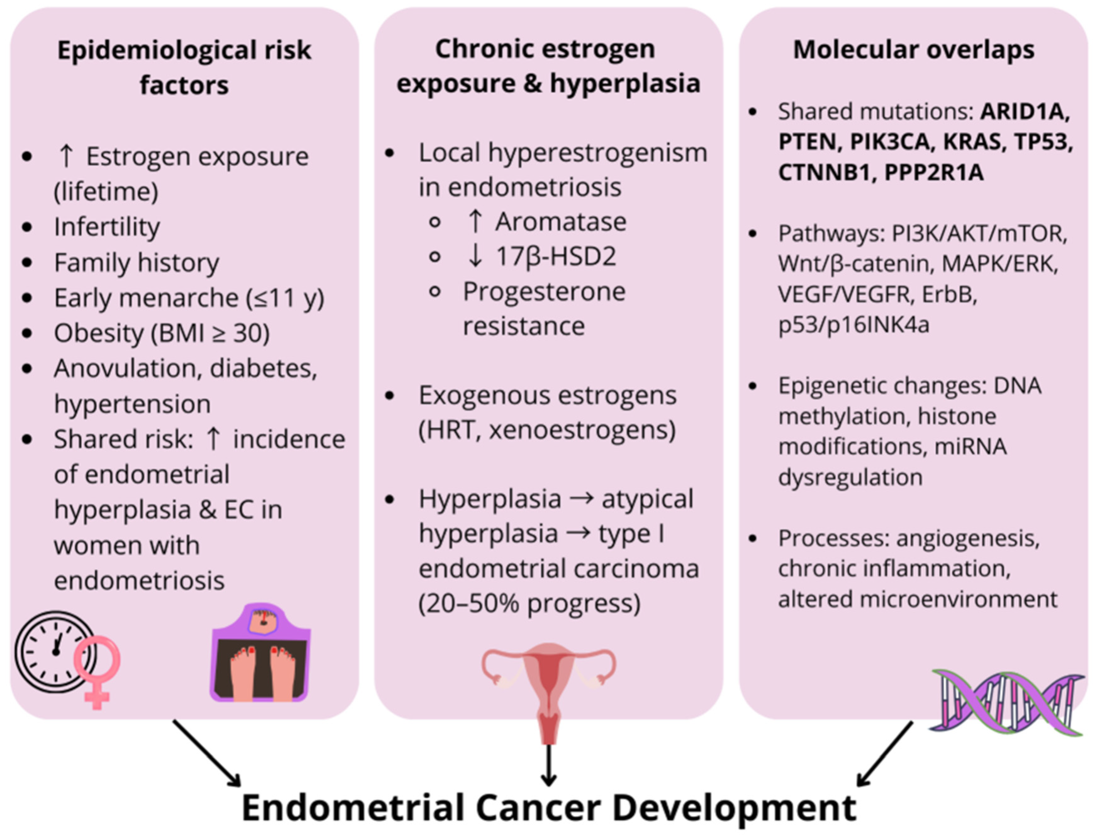 Facebookページ From Inflammation to Malignancy: The Link Between Endometriosis