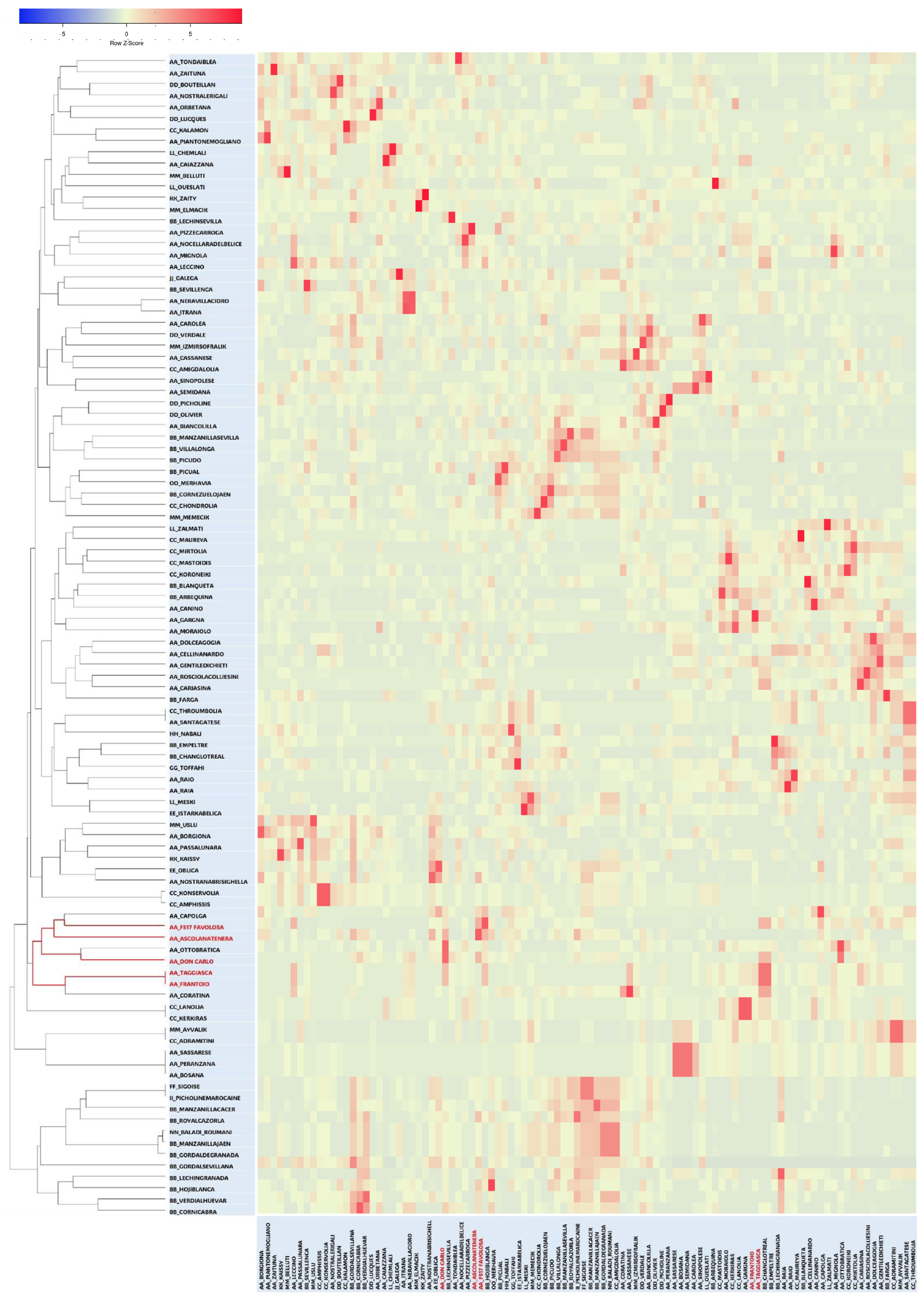 Genetic and Cyto-Histological Analyses in Olea europaea L. Cultivars in ...