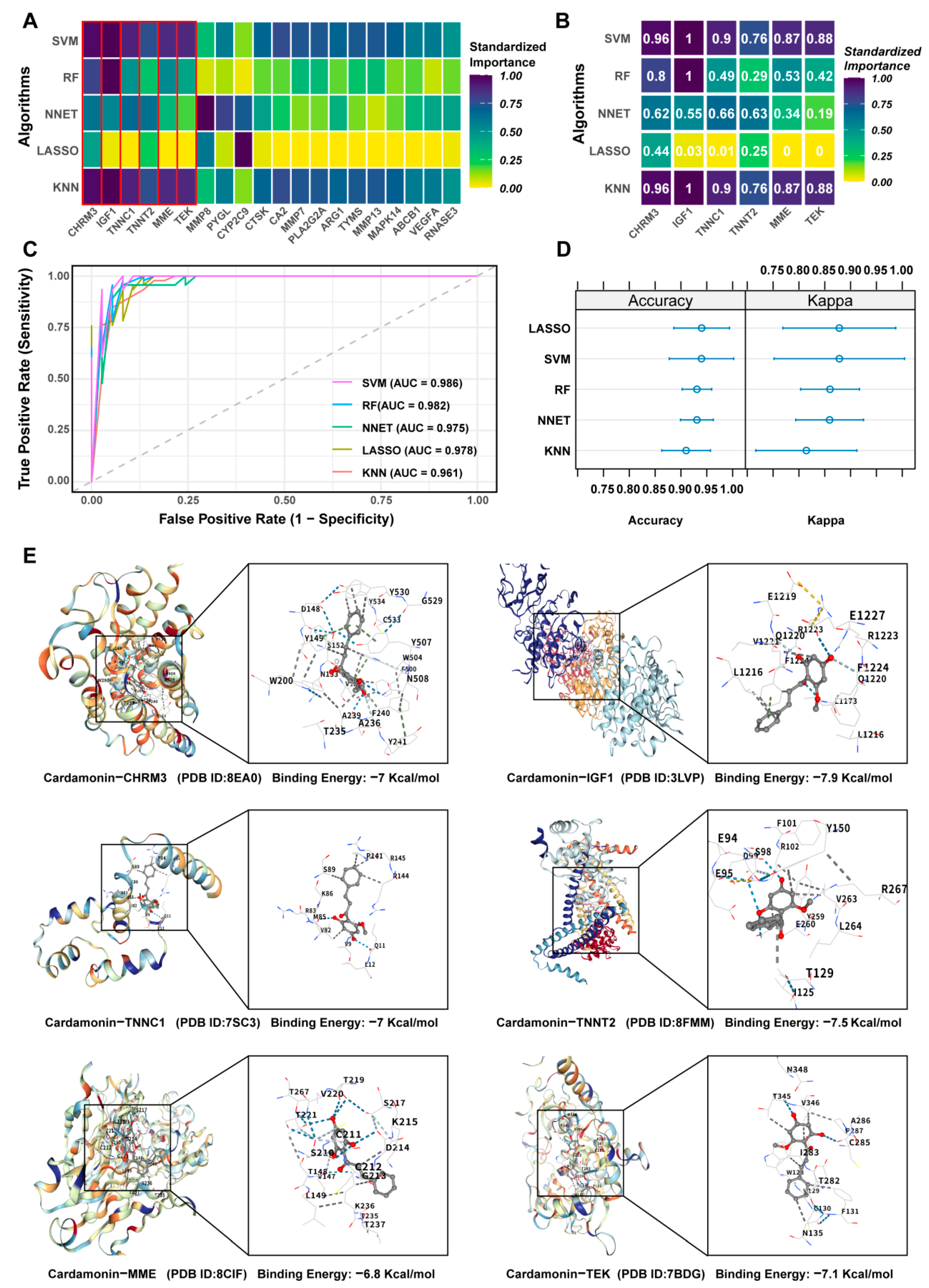 Integrating Network Pharmacology, Machine Learning, and Experimental ...
