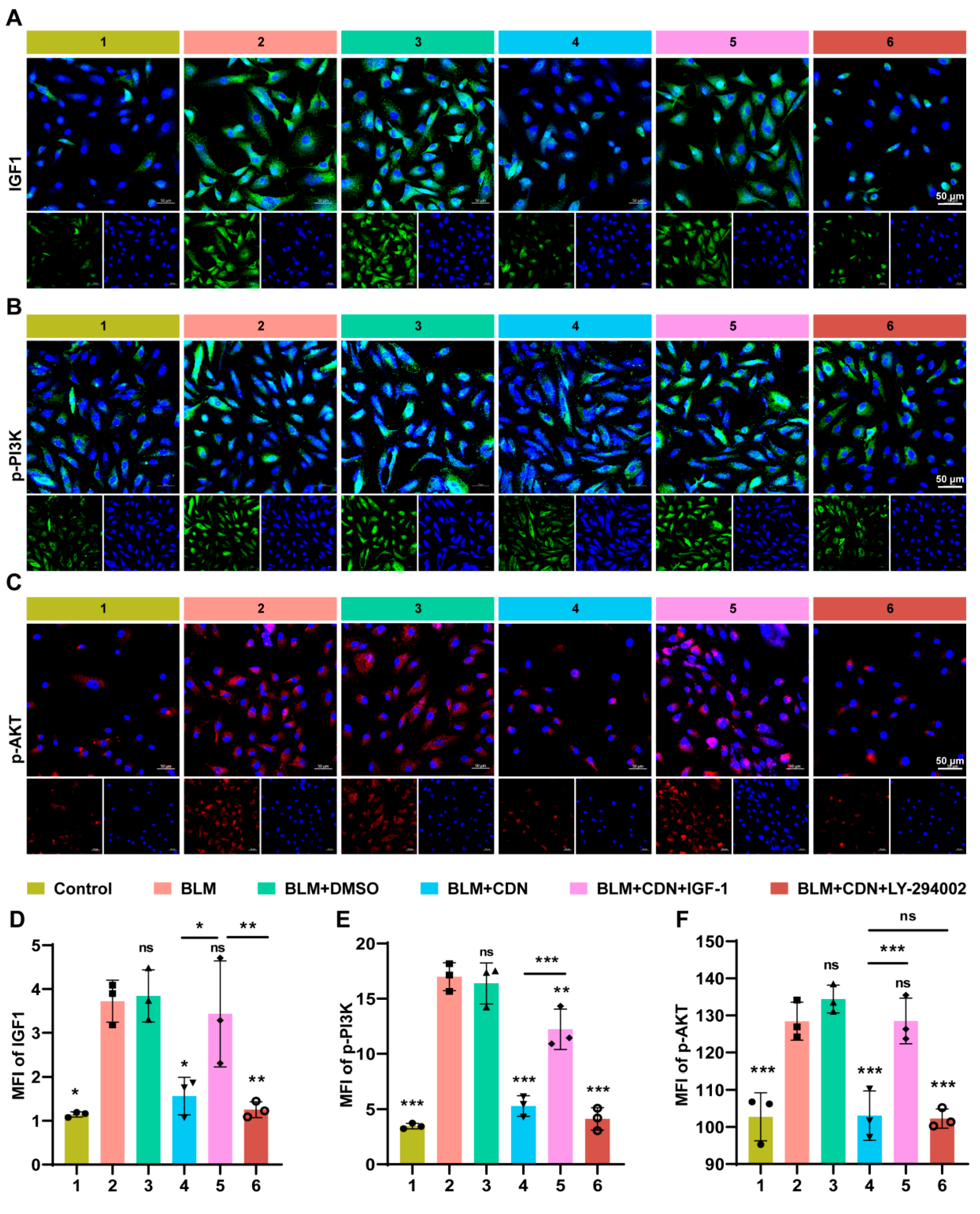 Integrating Network Pharmacology, Machine Learning, and Experimental ...