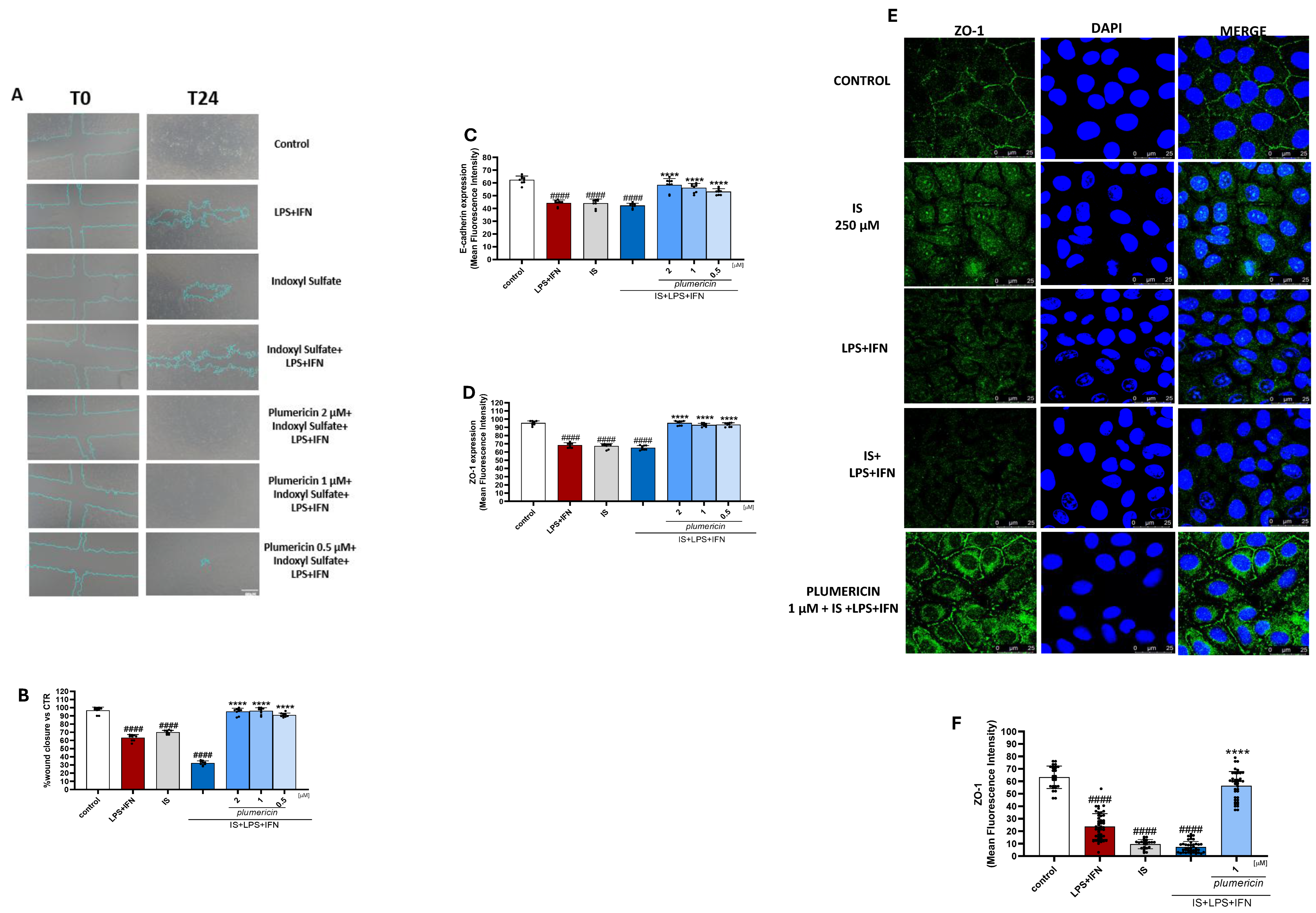Plumericin Modulates the AhR–NFκB–Nrf2 Signaling Network to Counteract ...