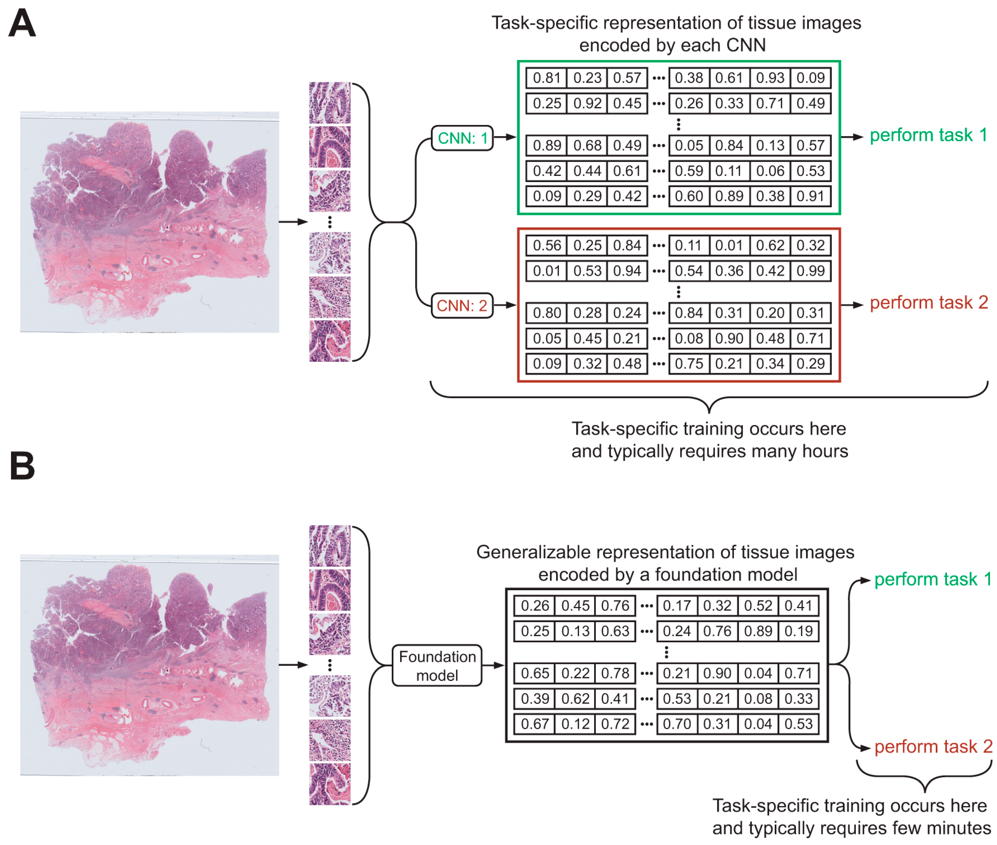 AI-Driven Digital Pathology: Deep Learning and Multimodal Integration ...