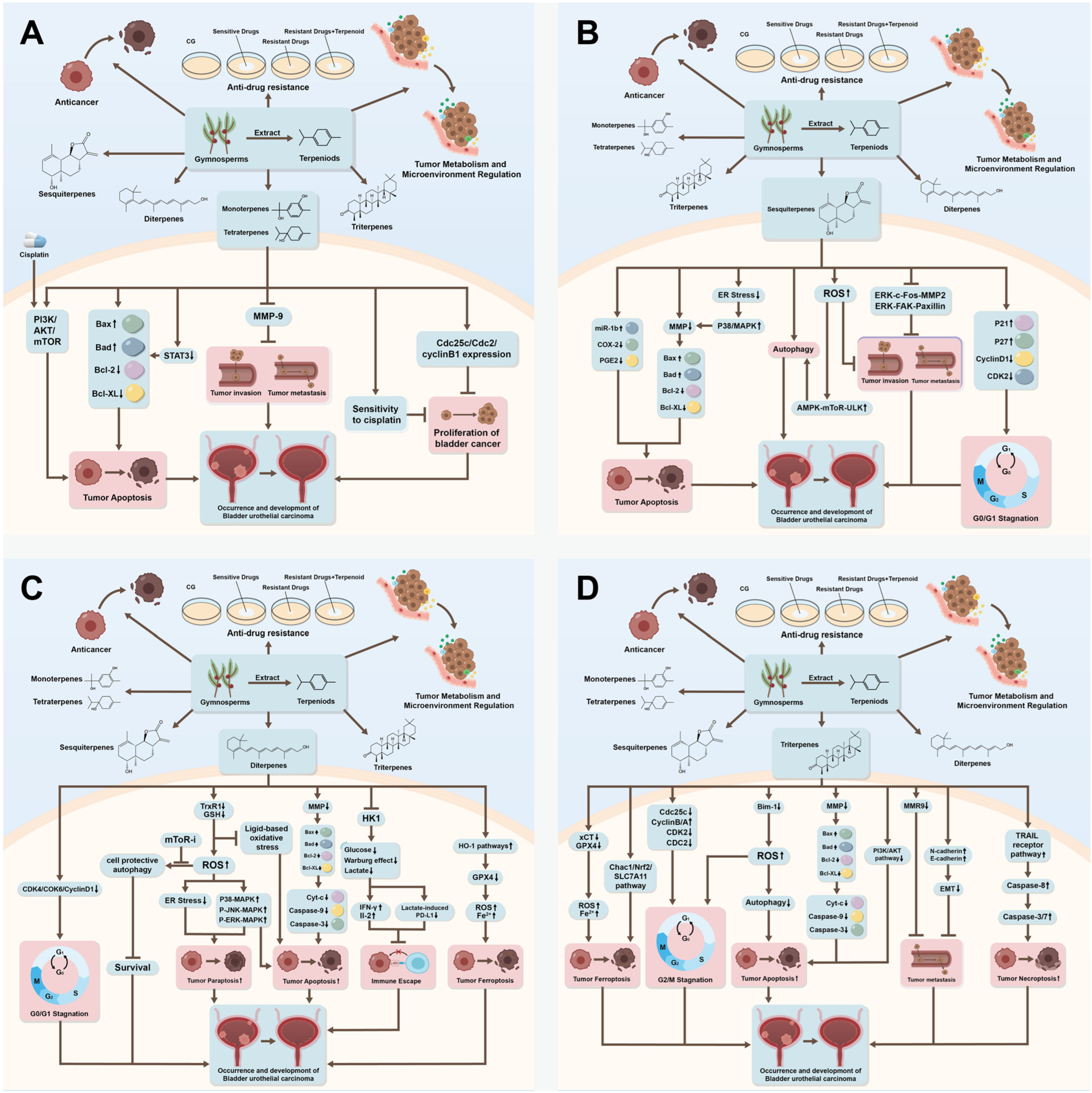 The Role of Natural Compounds in Bladder Urothelial Carcinoma Treatment