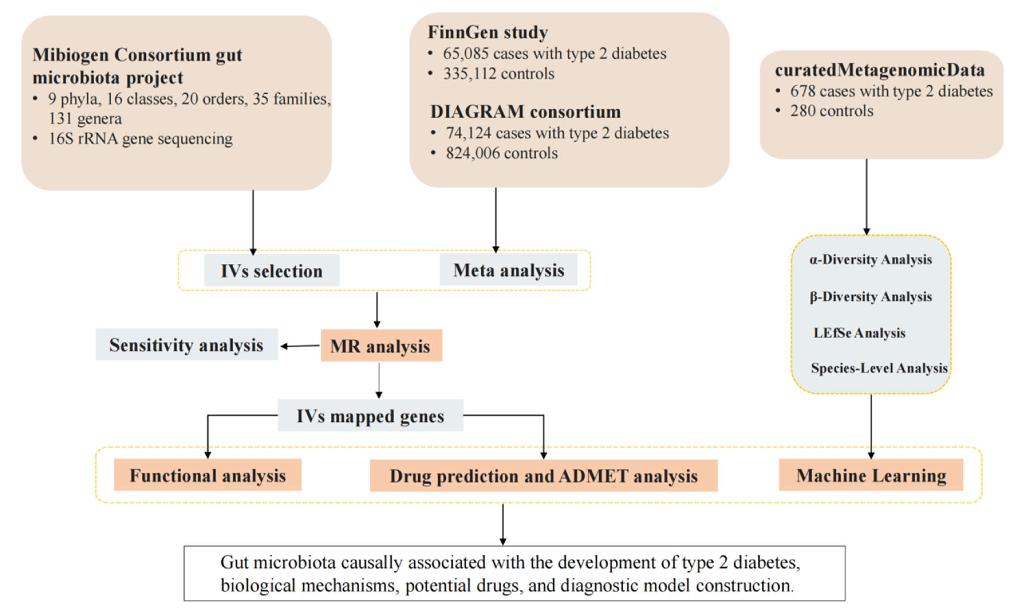Gut Microbiota and Type 2 Diabetes: Genetic Associations, Biological ...