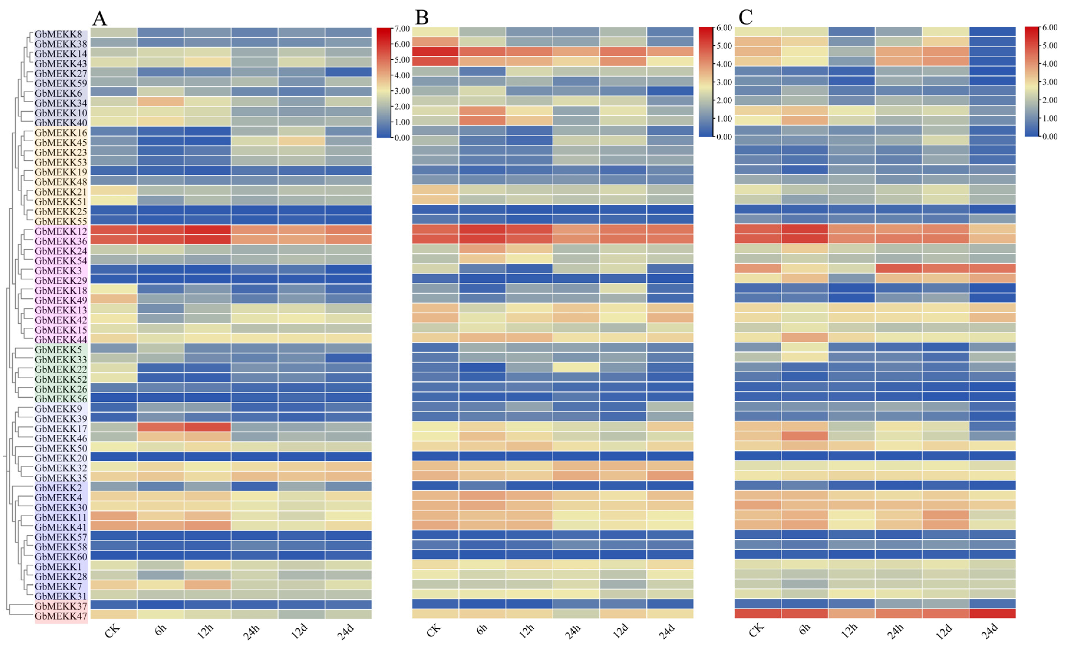 Genome-Wide Identification Analysis of the MAPKKK Gene Family in Cotton ...
