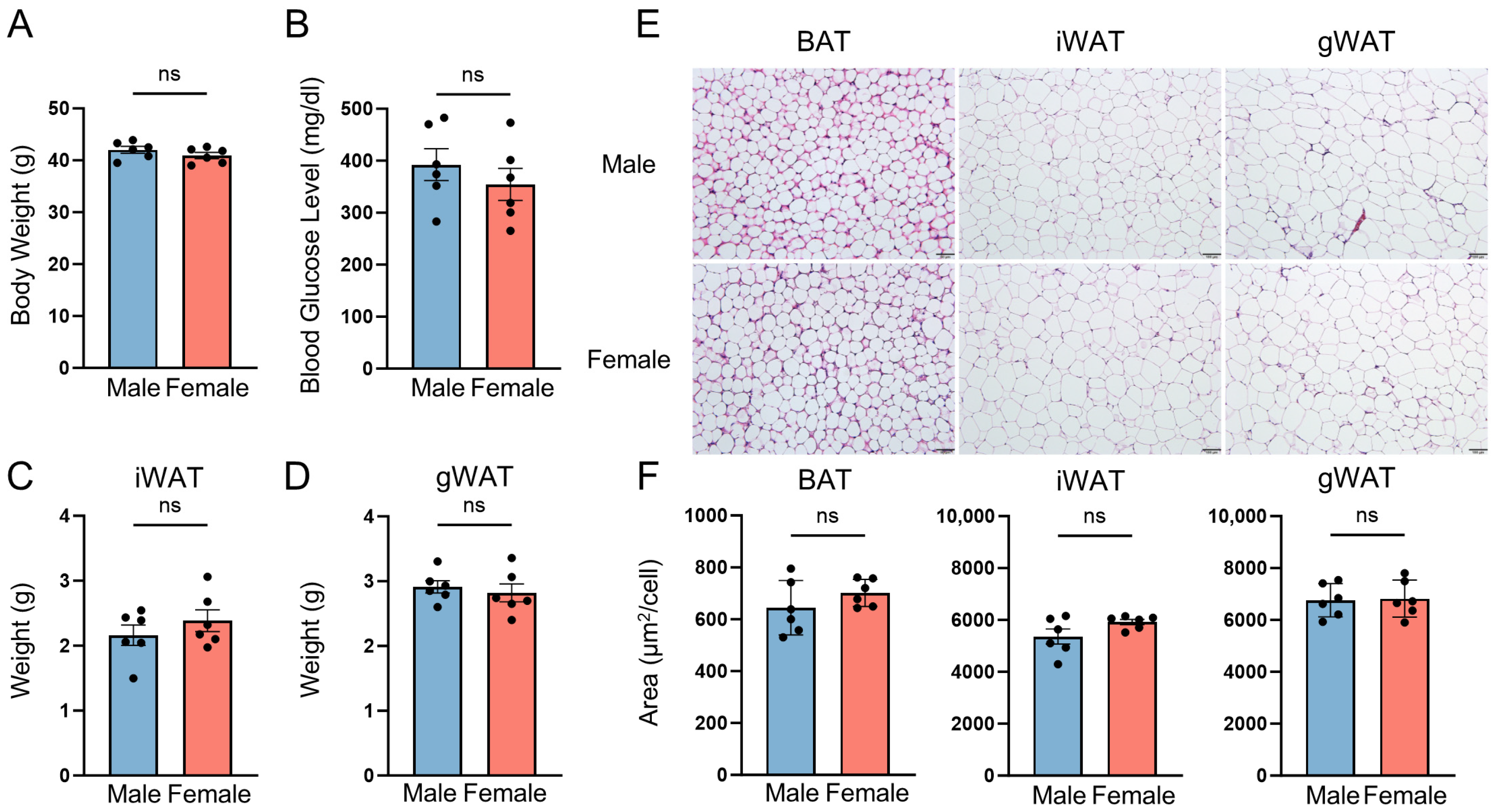 impact-of-sex-on-plasma-biomarkers-in-ob-ob-mice