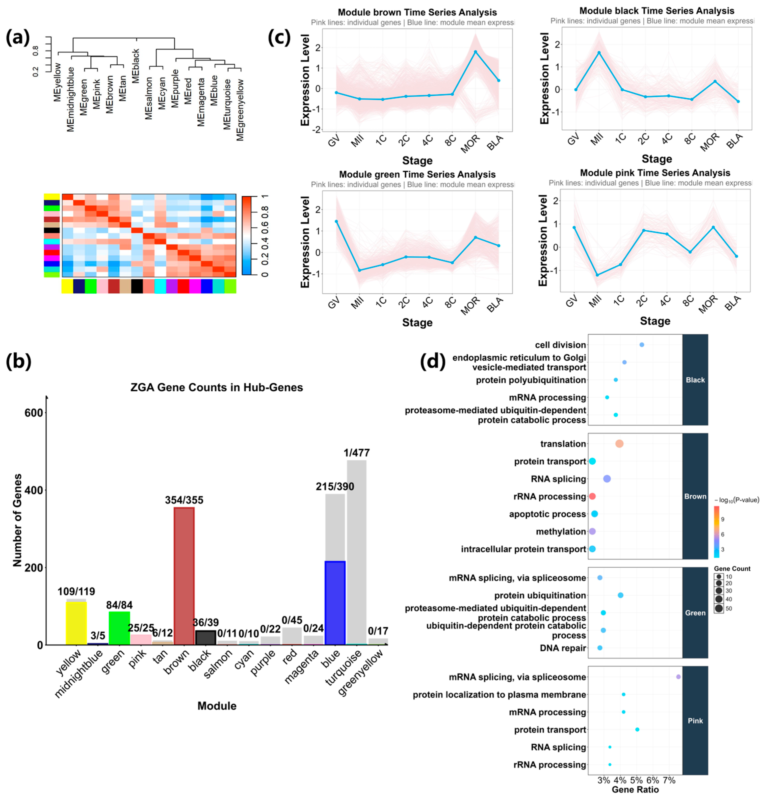 Dynamic Landscape of Alternative Splicing During Early Embryogenesis of ...