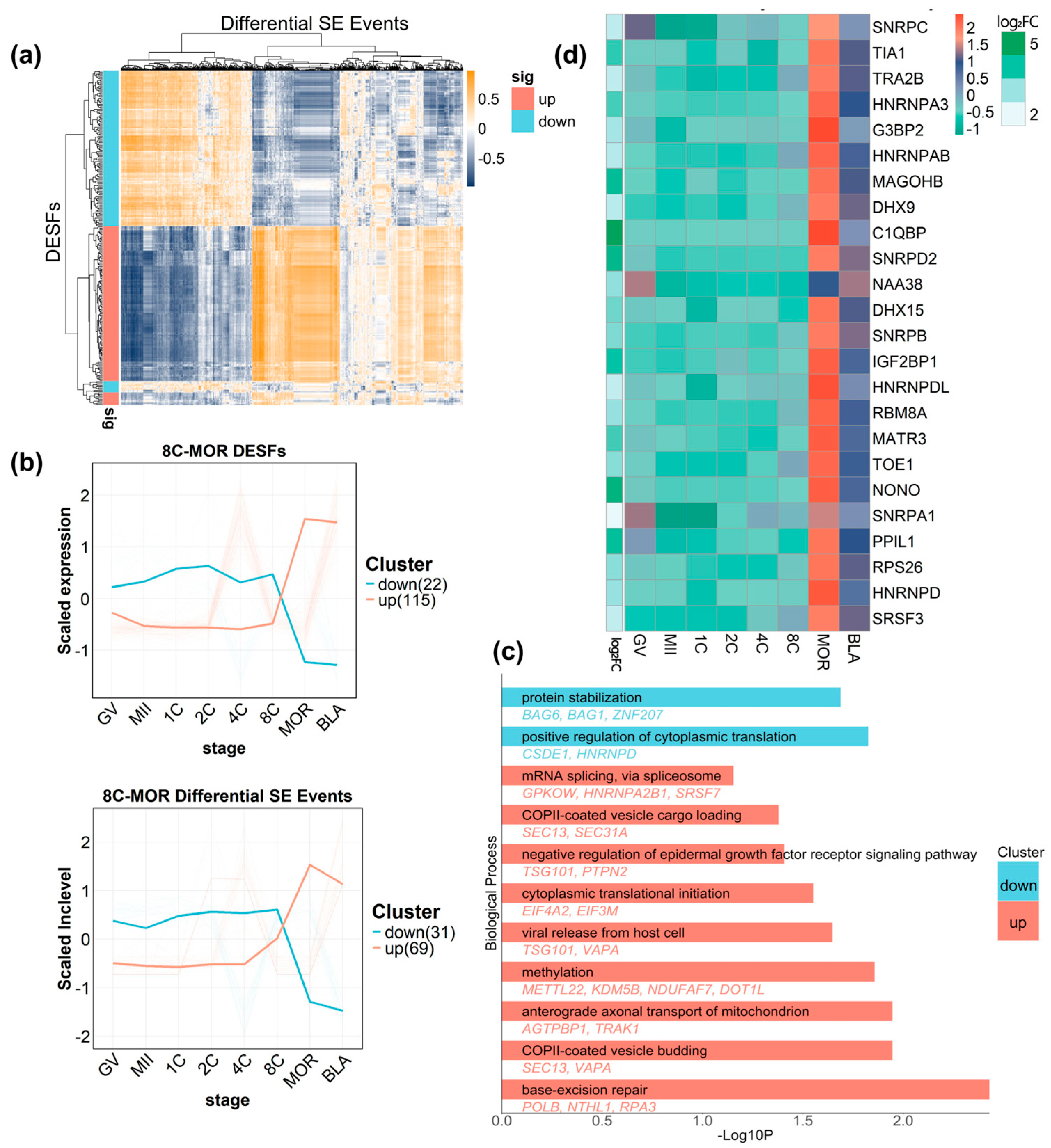 Dynamic Landscape of Alternative Splicing During Early Embryogenesis of ...