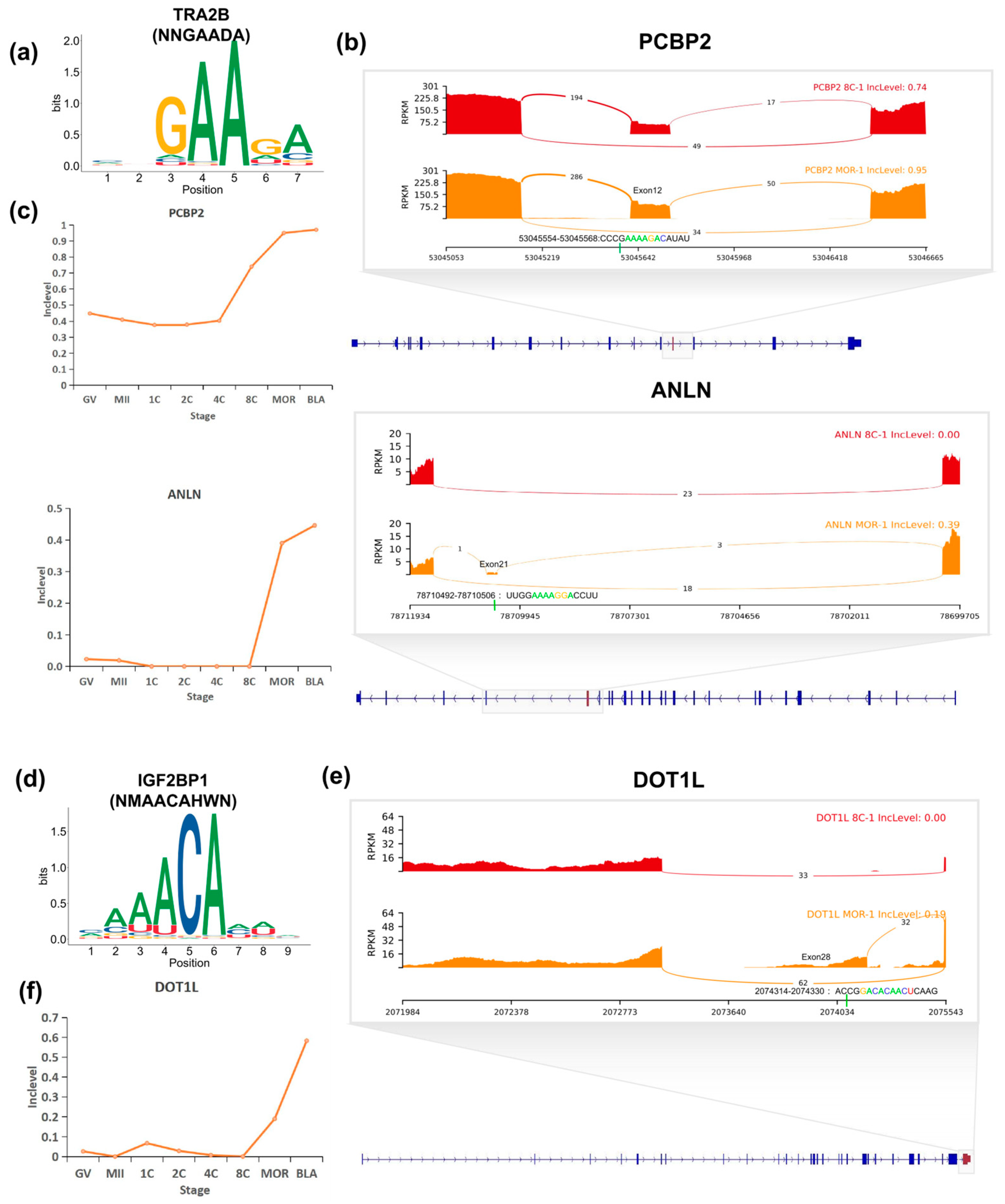 Dynamic Landscape of Alternative Splicing During Early Embryogenesis of ...