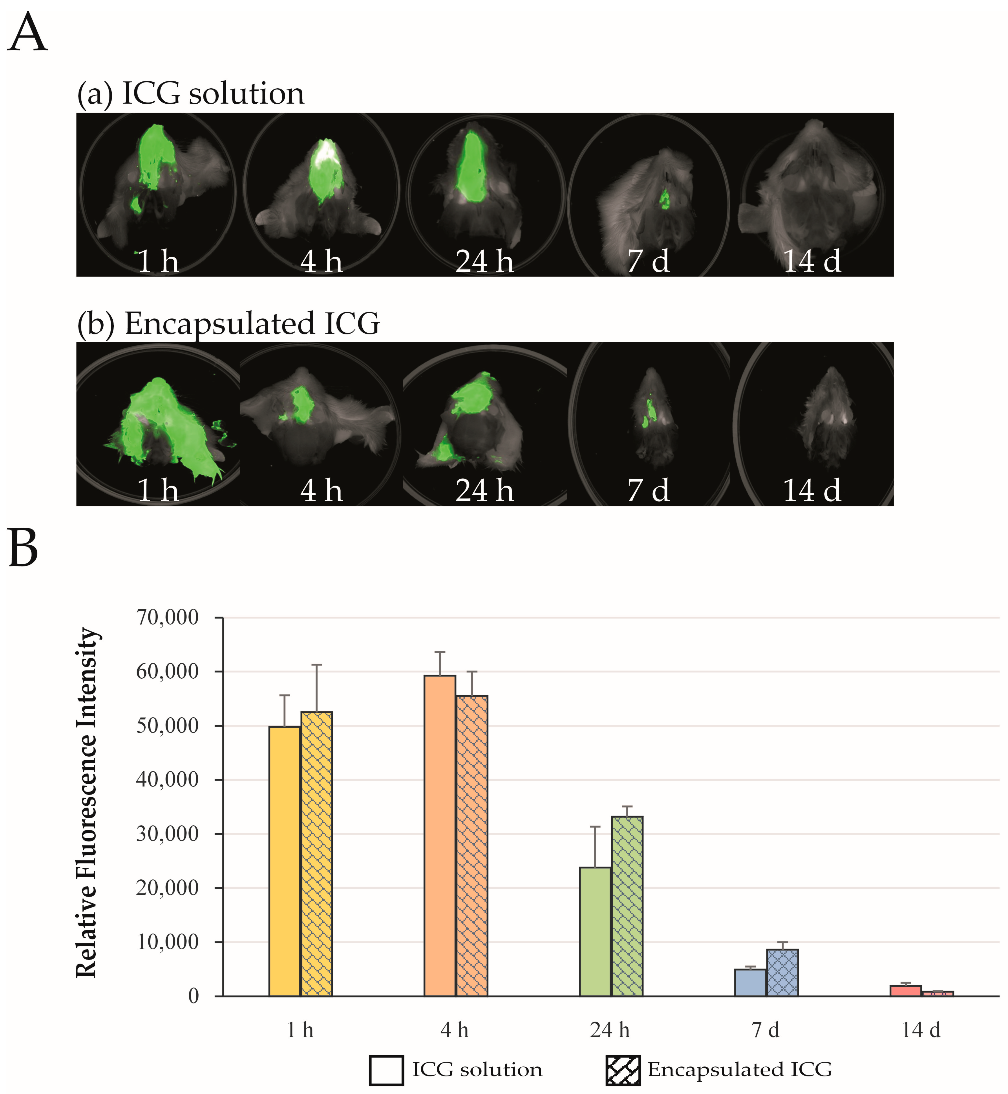 Indocyanine Green as a Marker for Nose-to-Brain Delivery Pathways ...