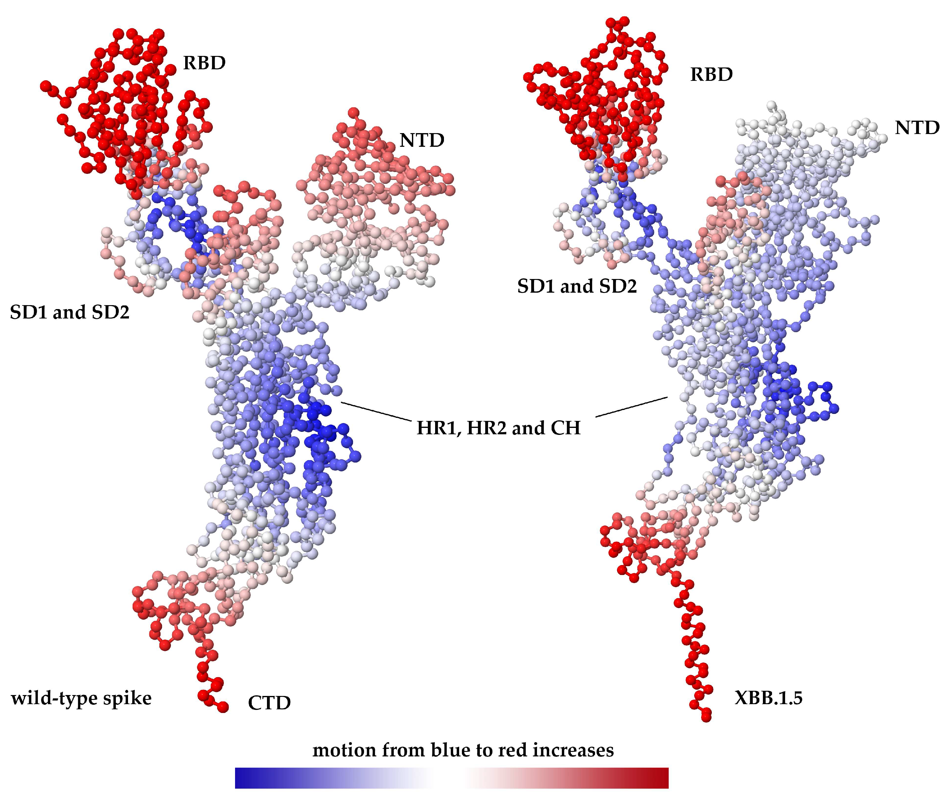 Xbbd SARS-CoV-2 Spike Protein XBB.1.5 Mutations Altered Four Conserved ...
