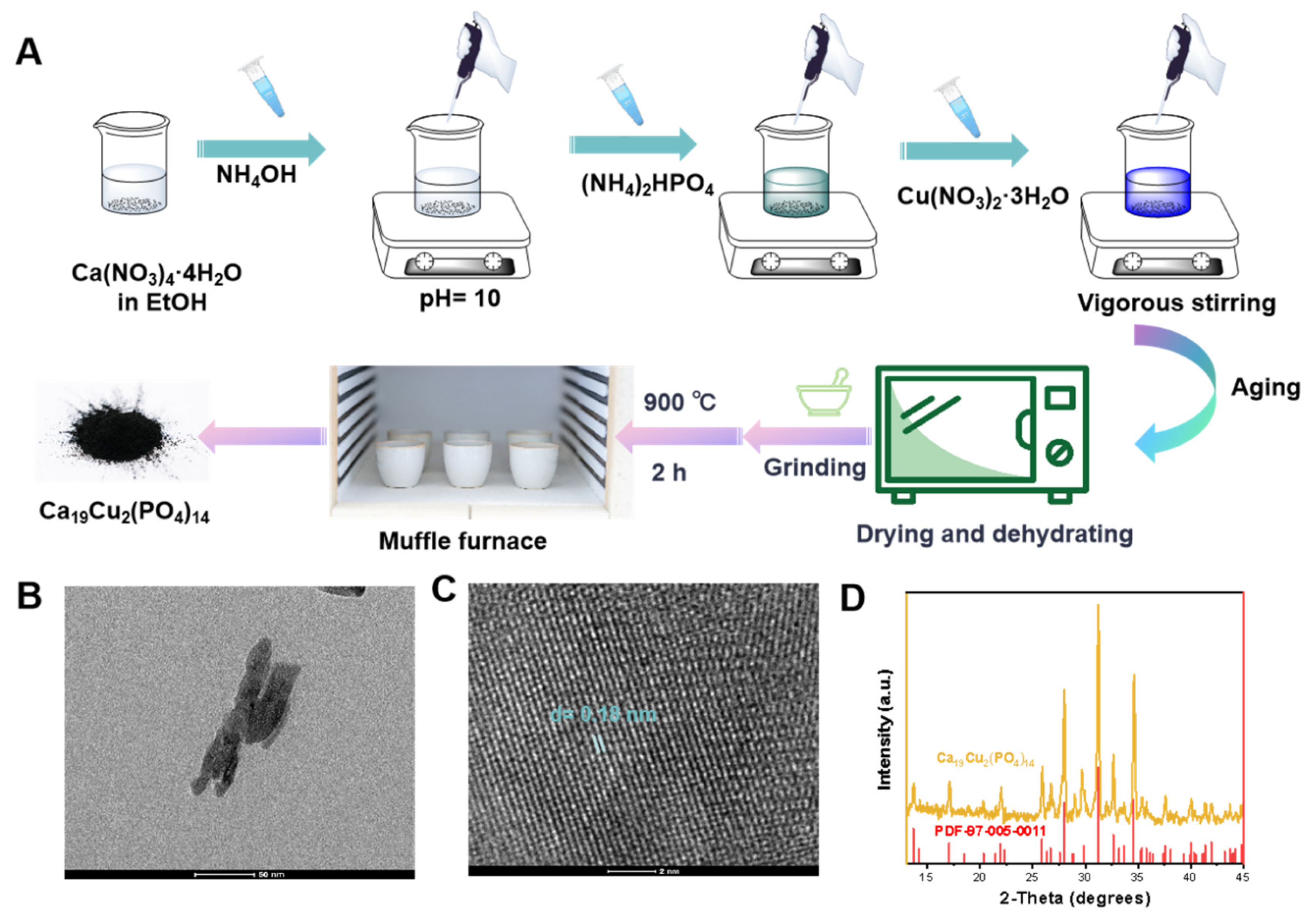Ultrasound-Responsive Calcium Copper Phosphate Nanomaterials Induce ...
