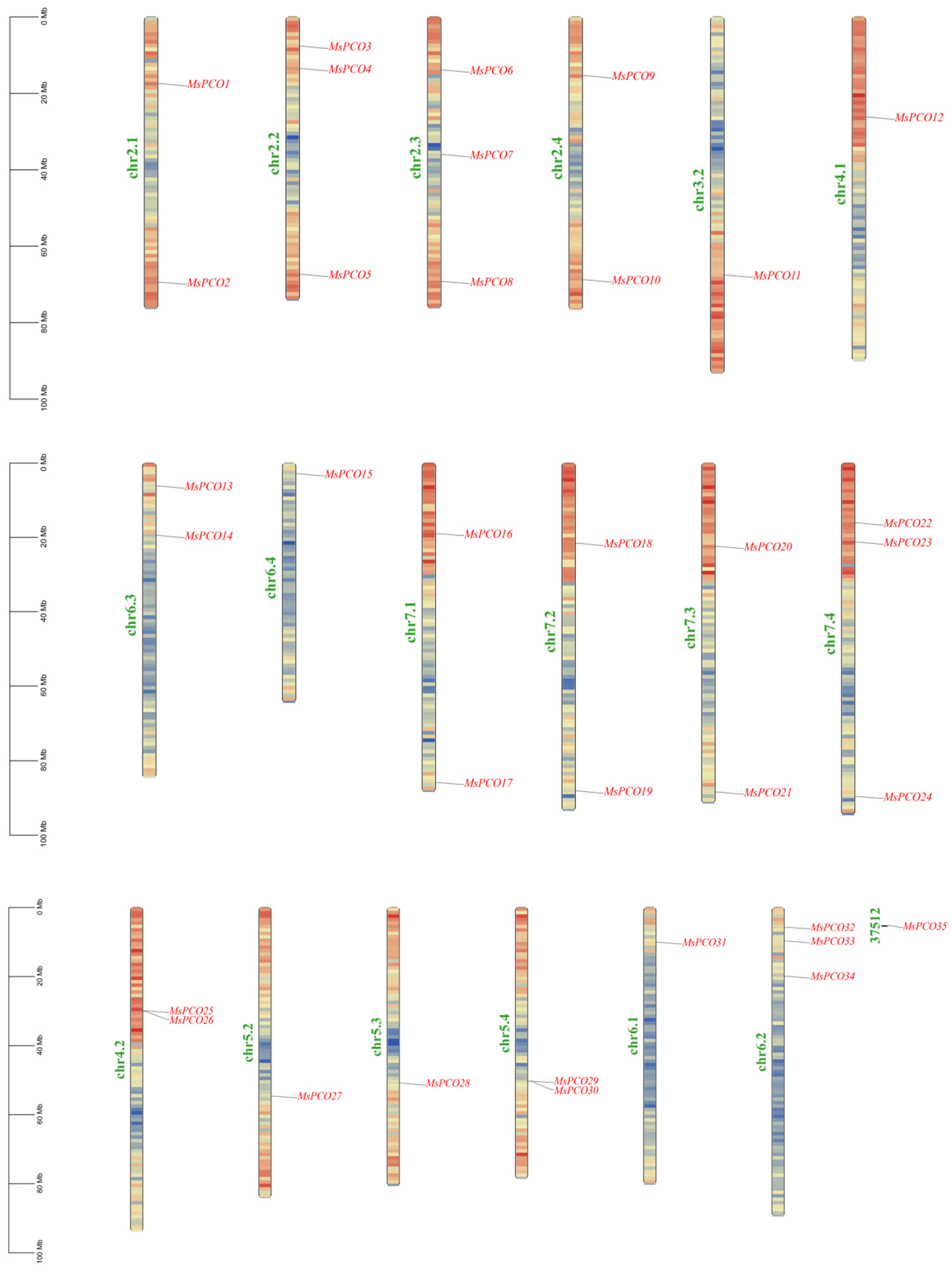 Genome-Wide Identification and Analysis of Plant Cysteine Oxidase (PCO ...