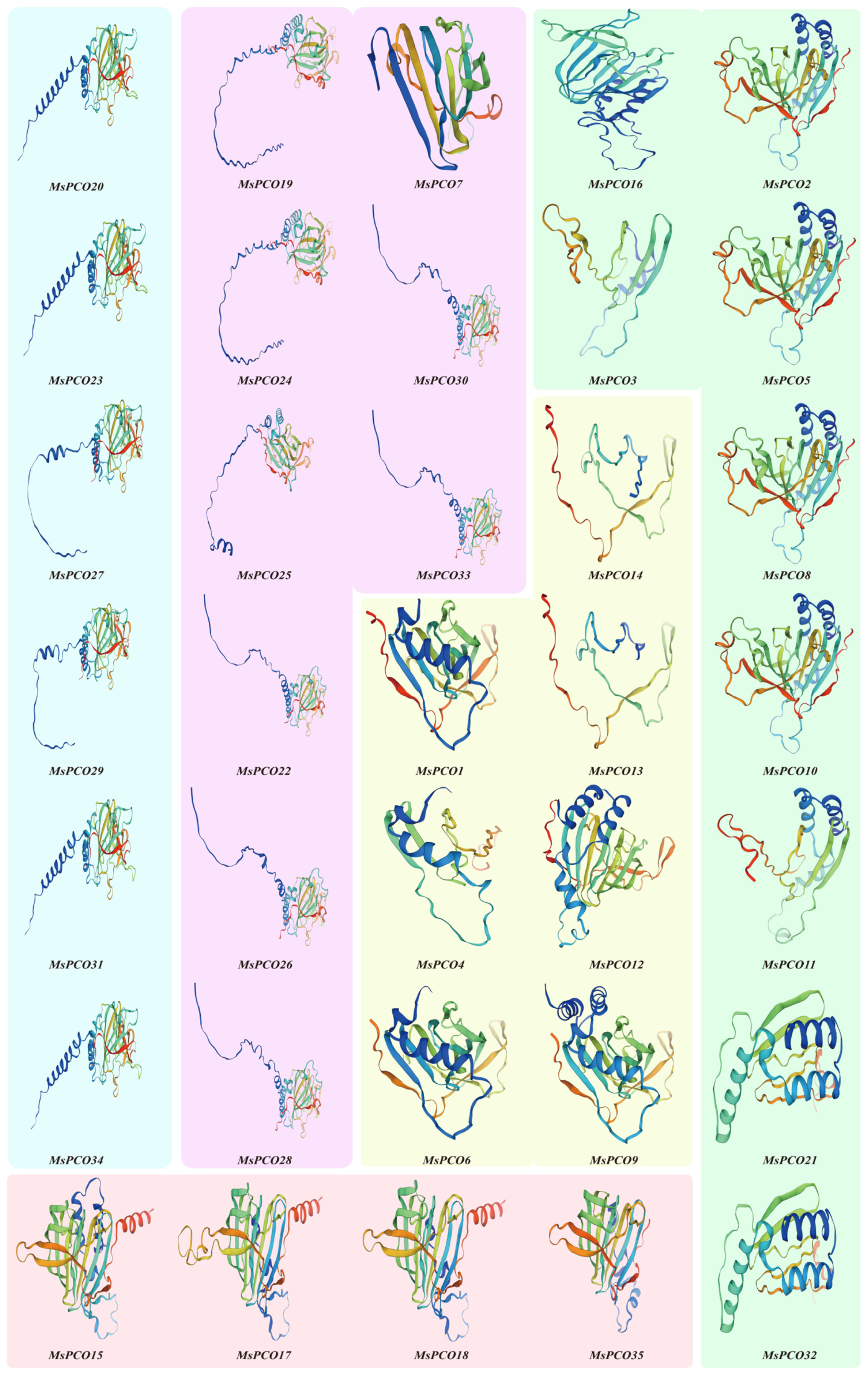 Genome-Wide Identification and Analysis of Plant Cysteine Oxidase (PCO ...