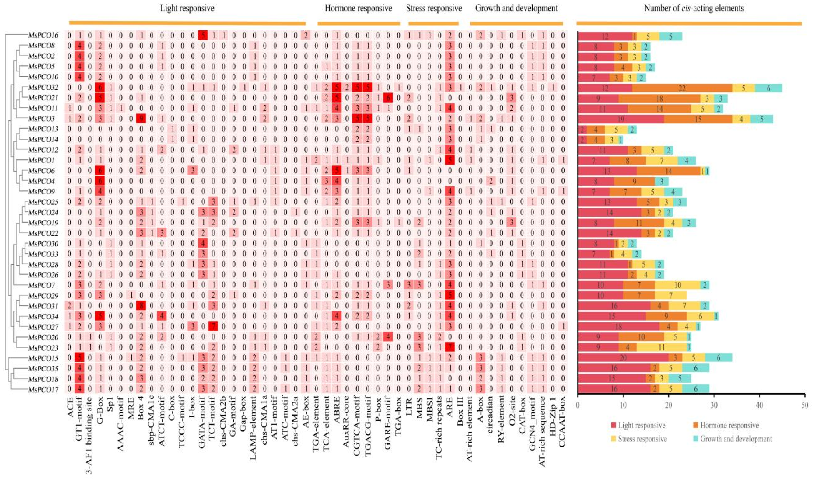 Genome-Wide Identification and Analysis of Plant Cysteine Oxidase (PCO ...