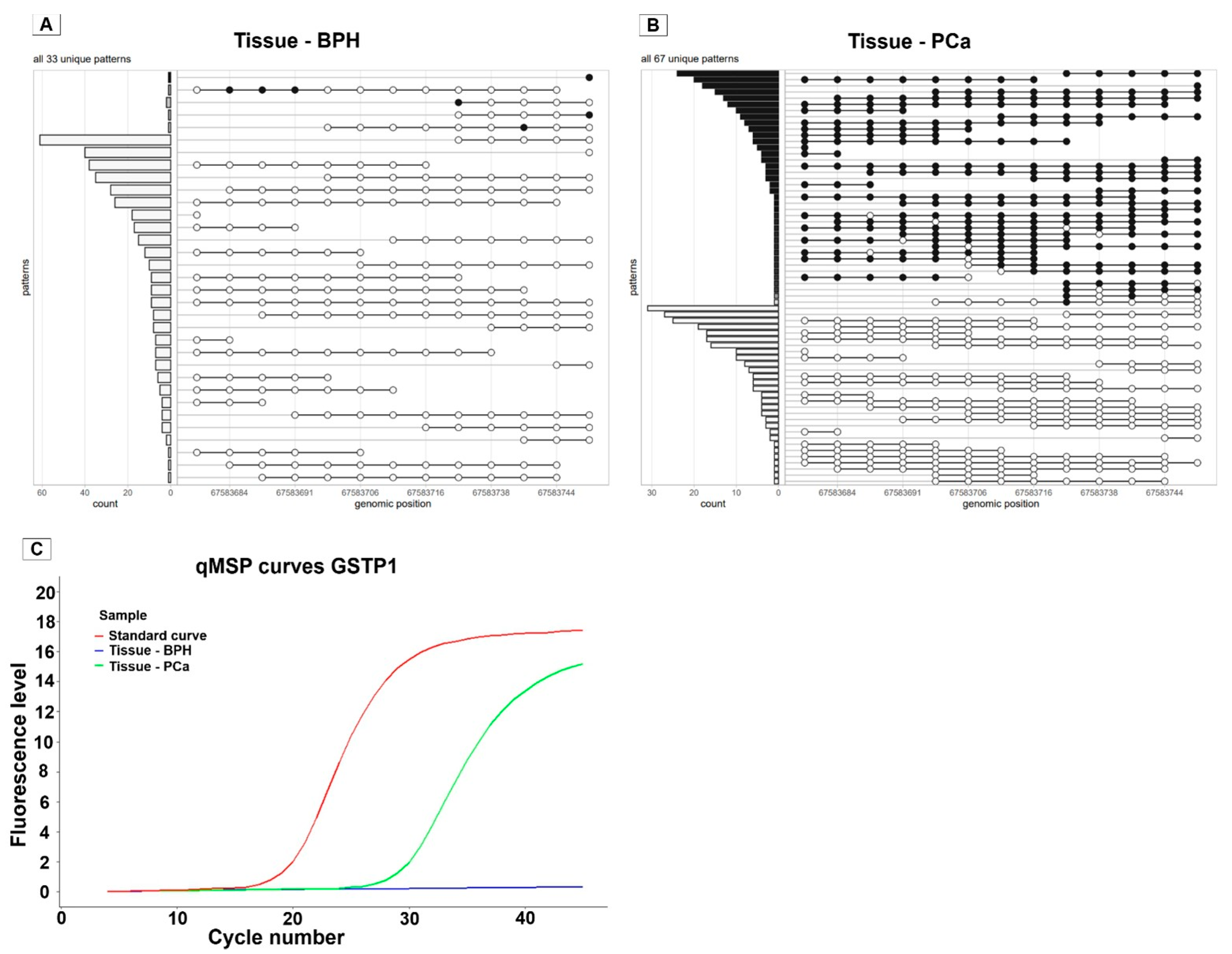 Impact of Heterogeneous DNA Methylation on the Accuracy of Quantitative ...