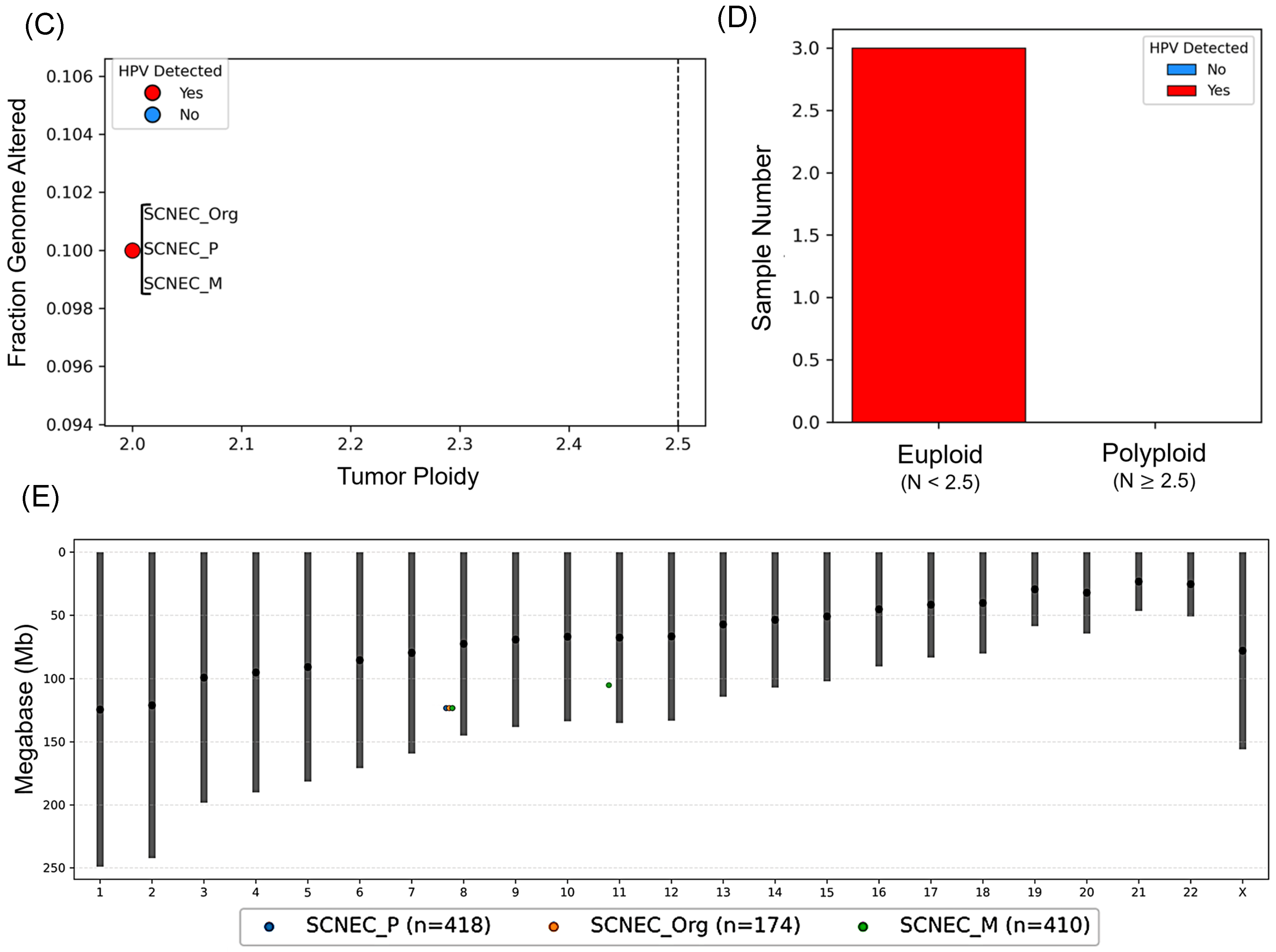 Integrated Molecular and Functional Characterization of Cervical Small ...