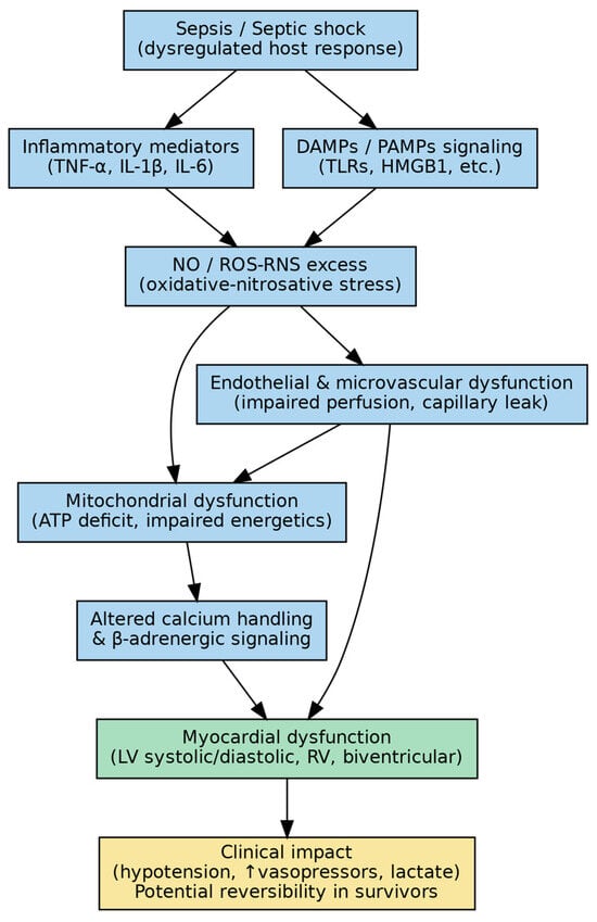 Association Between Myocardial Dysfunction and Septic Shock