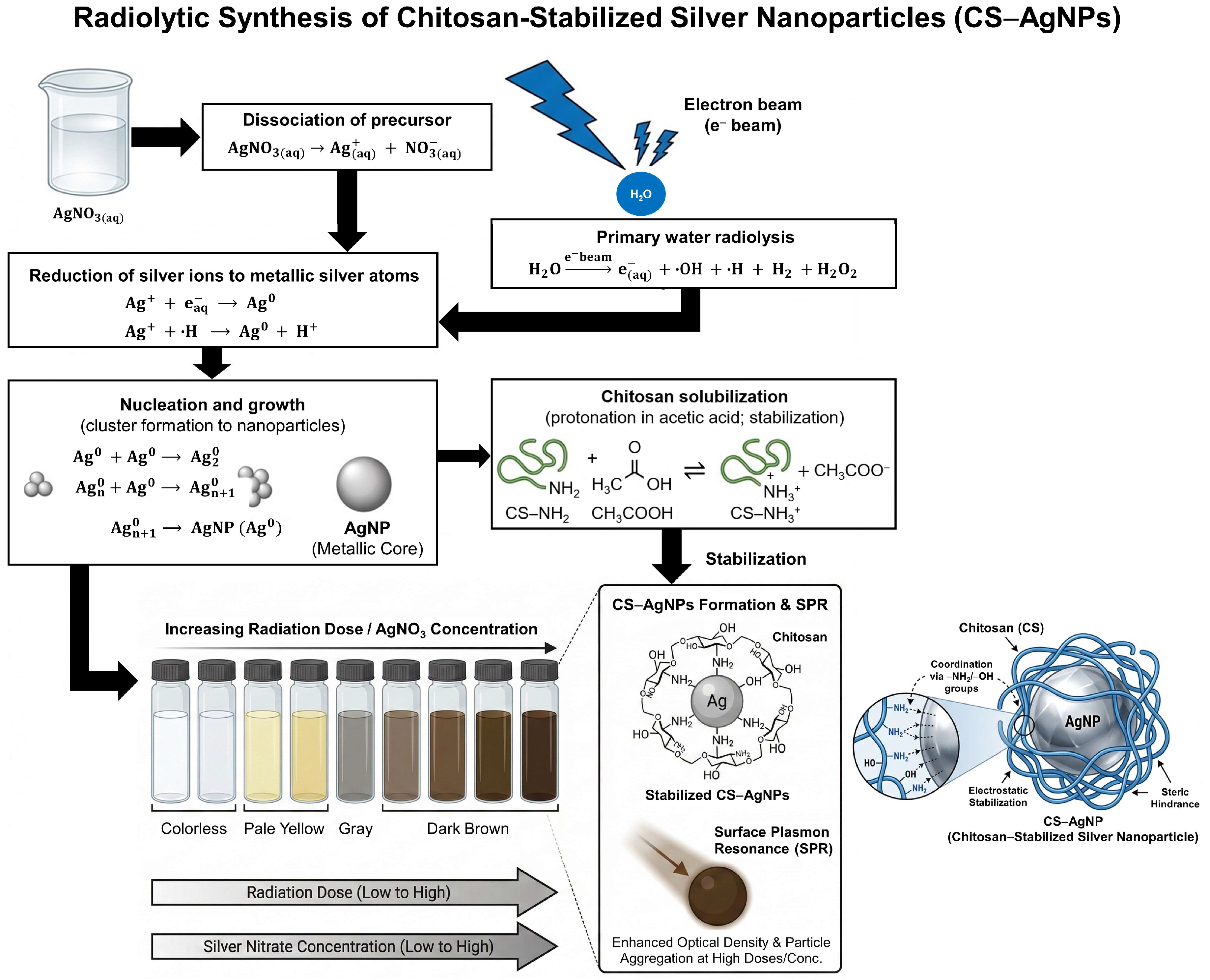 Radiolytic Synthesis of Chitosan-Stabilized Silver Nanoparticles via ...