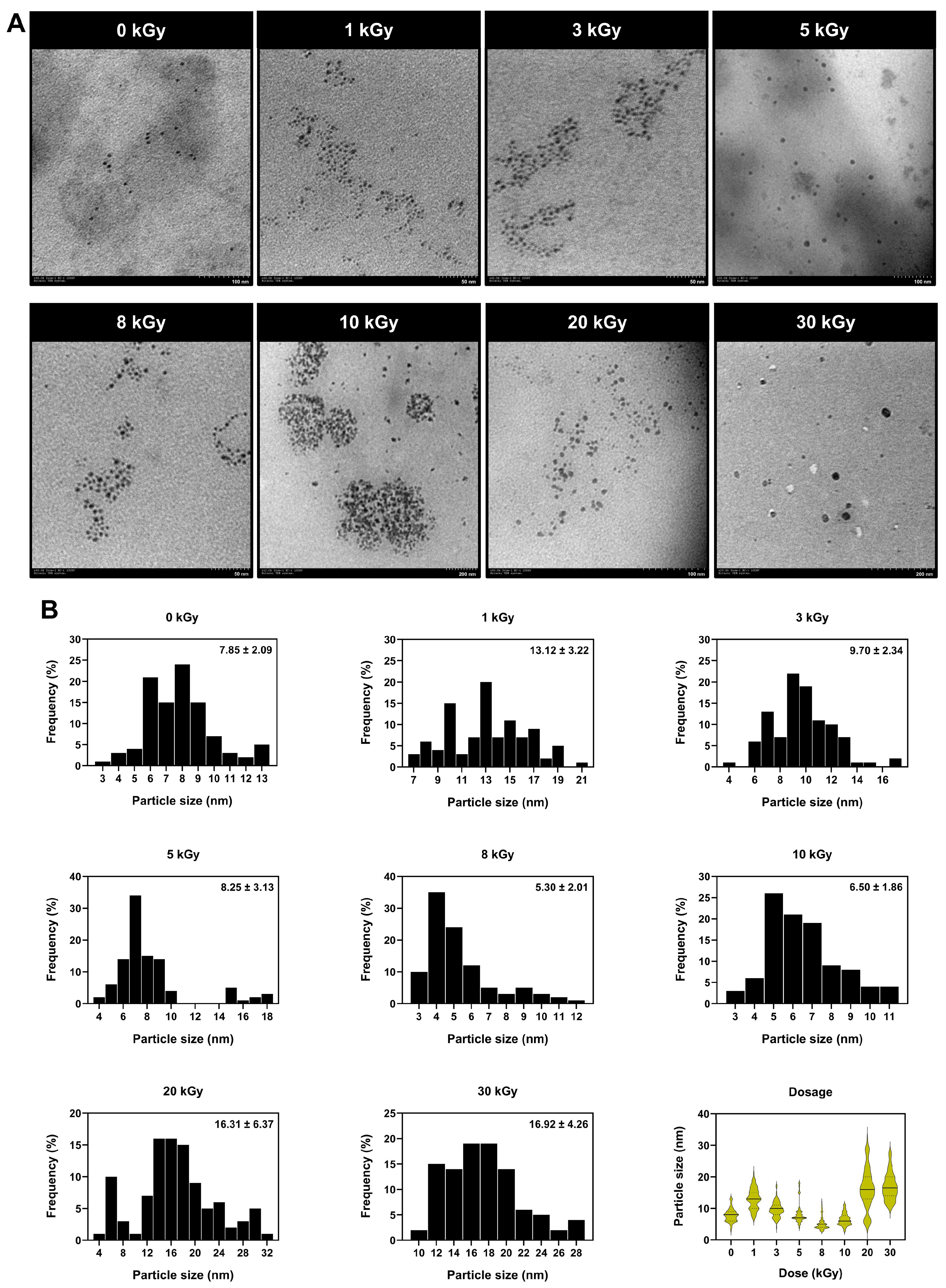 Radiolytic Synthesis of Chitosan-Stabilized Silver Nanoparticles via ...