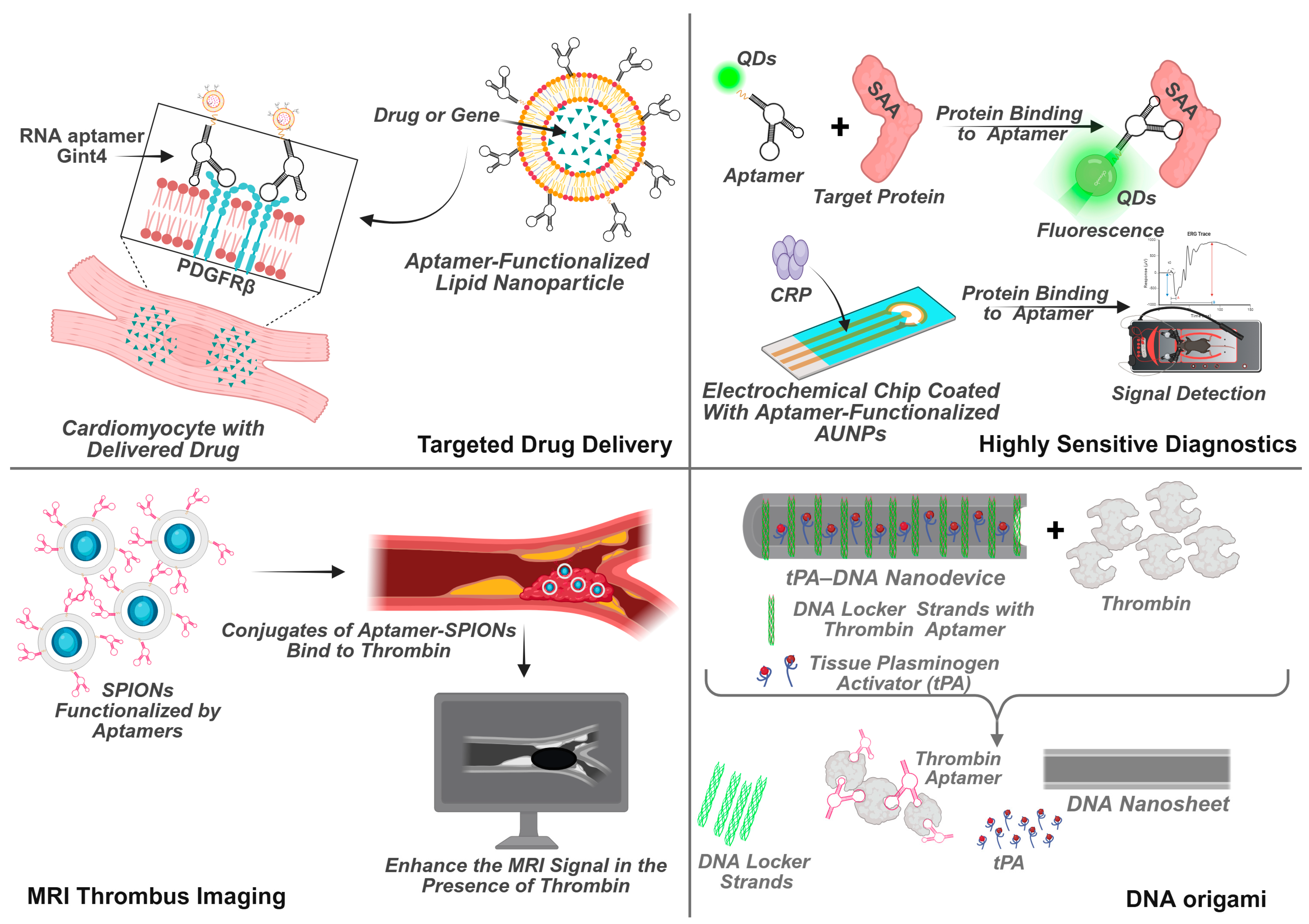 Recent Advances in Aptamer-Based Applications in Cardiology