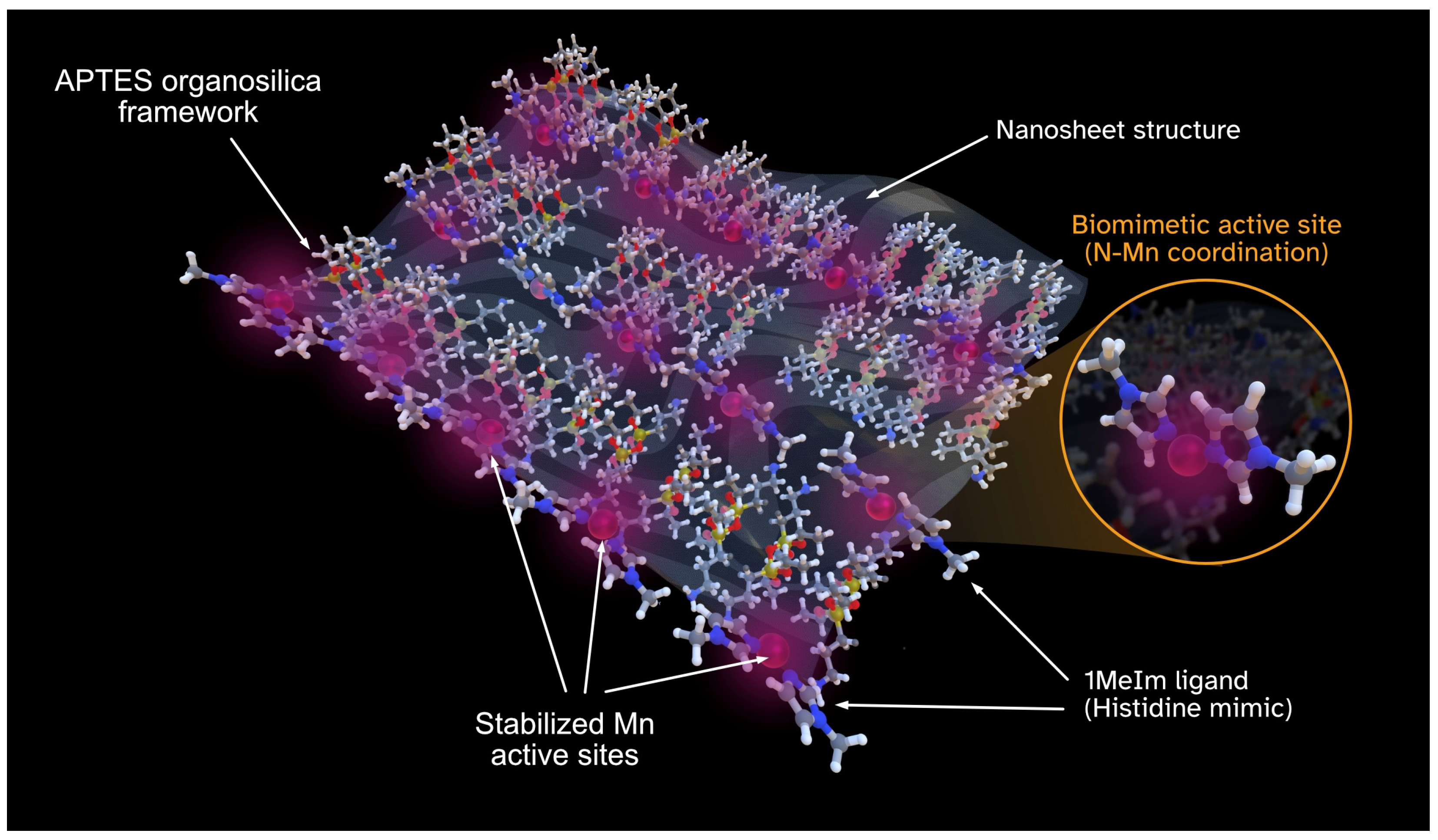 Rational Design of Mn-APTES/1-Methylimidazole Nanozymes: Enhanced ...
