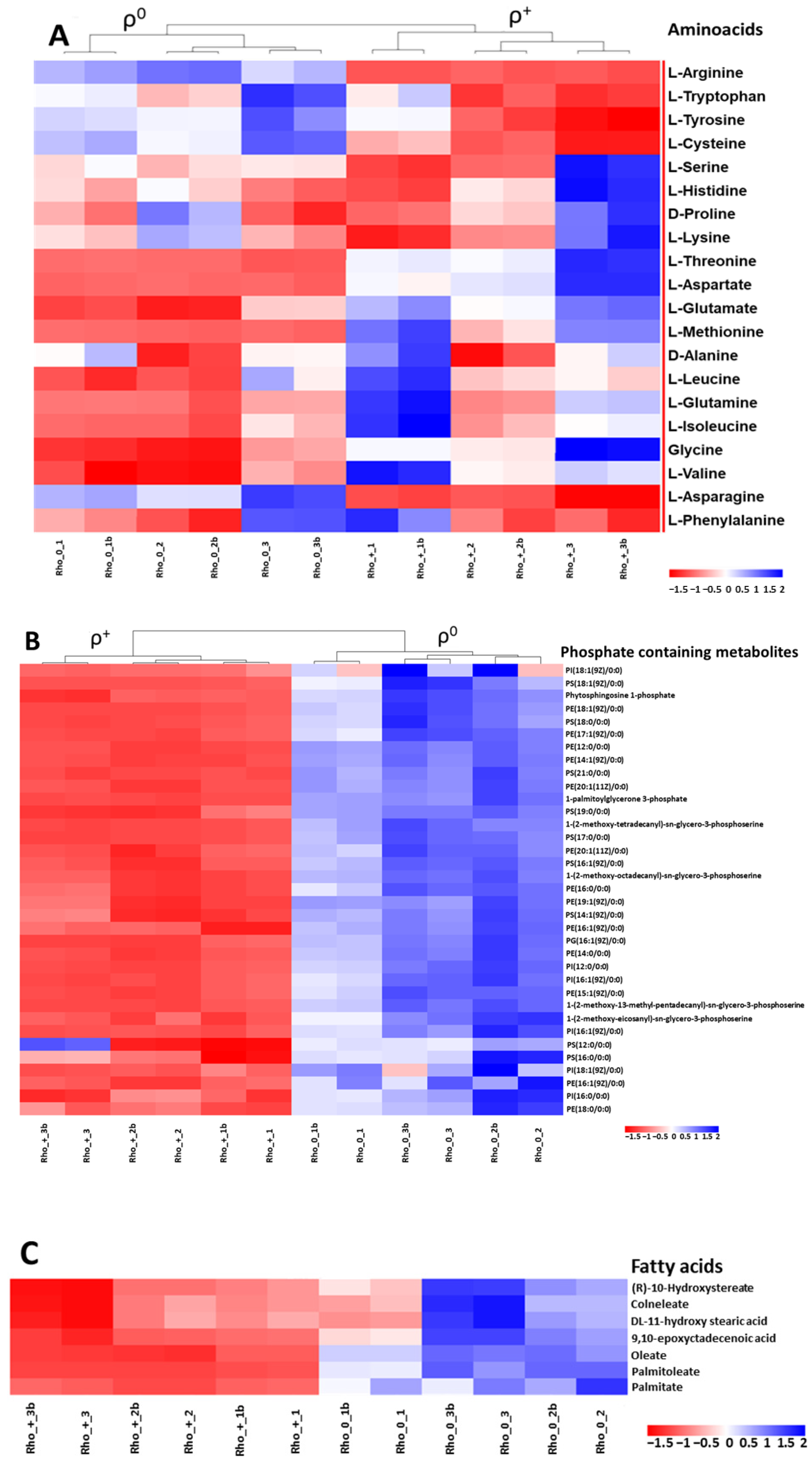 Enhanced Untargeted Metabolomics Based on High-Resolution Mass ...