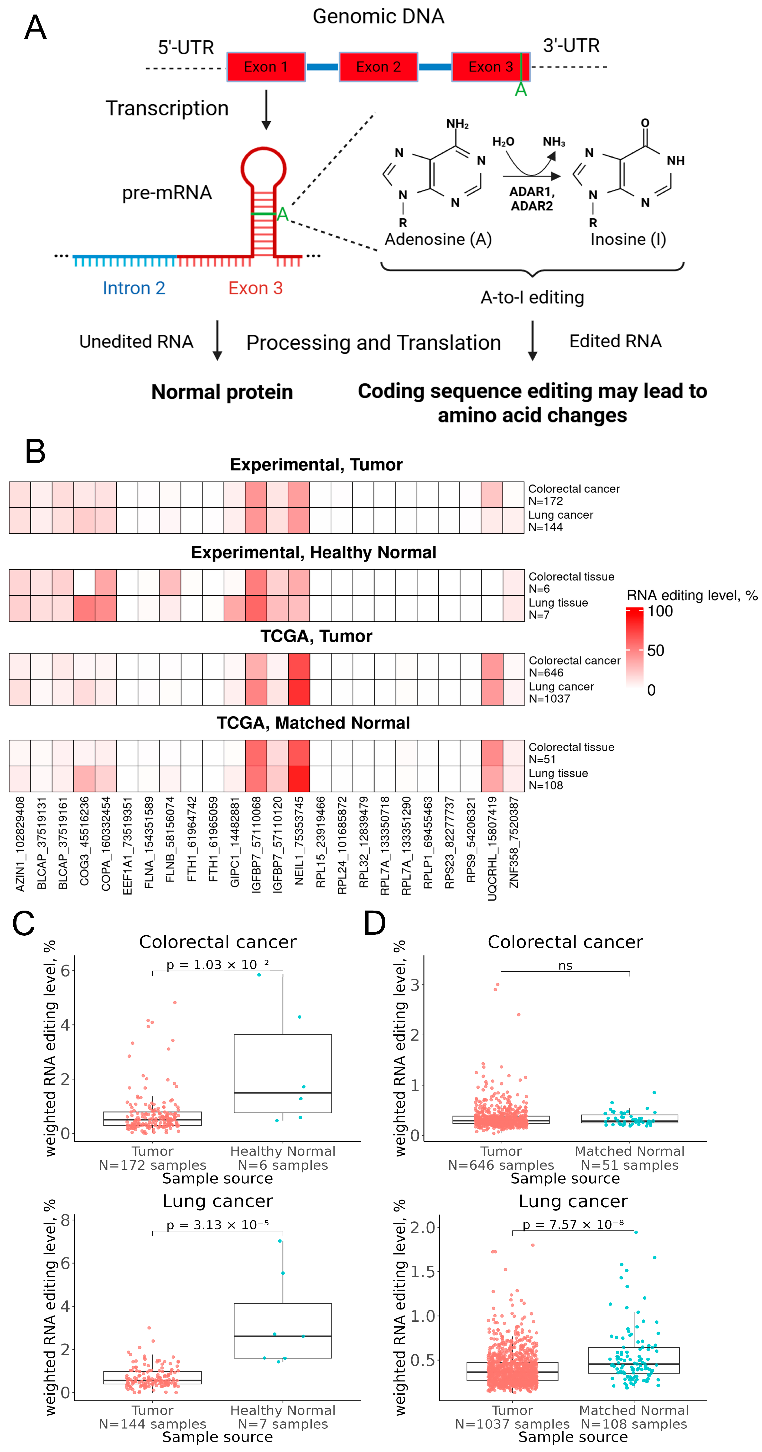 Molecular Context of ADAR-Mediated Editing of Coding RNA in Colorectal ...