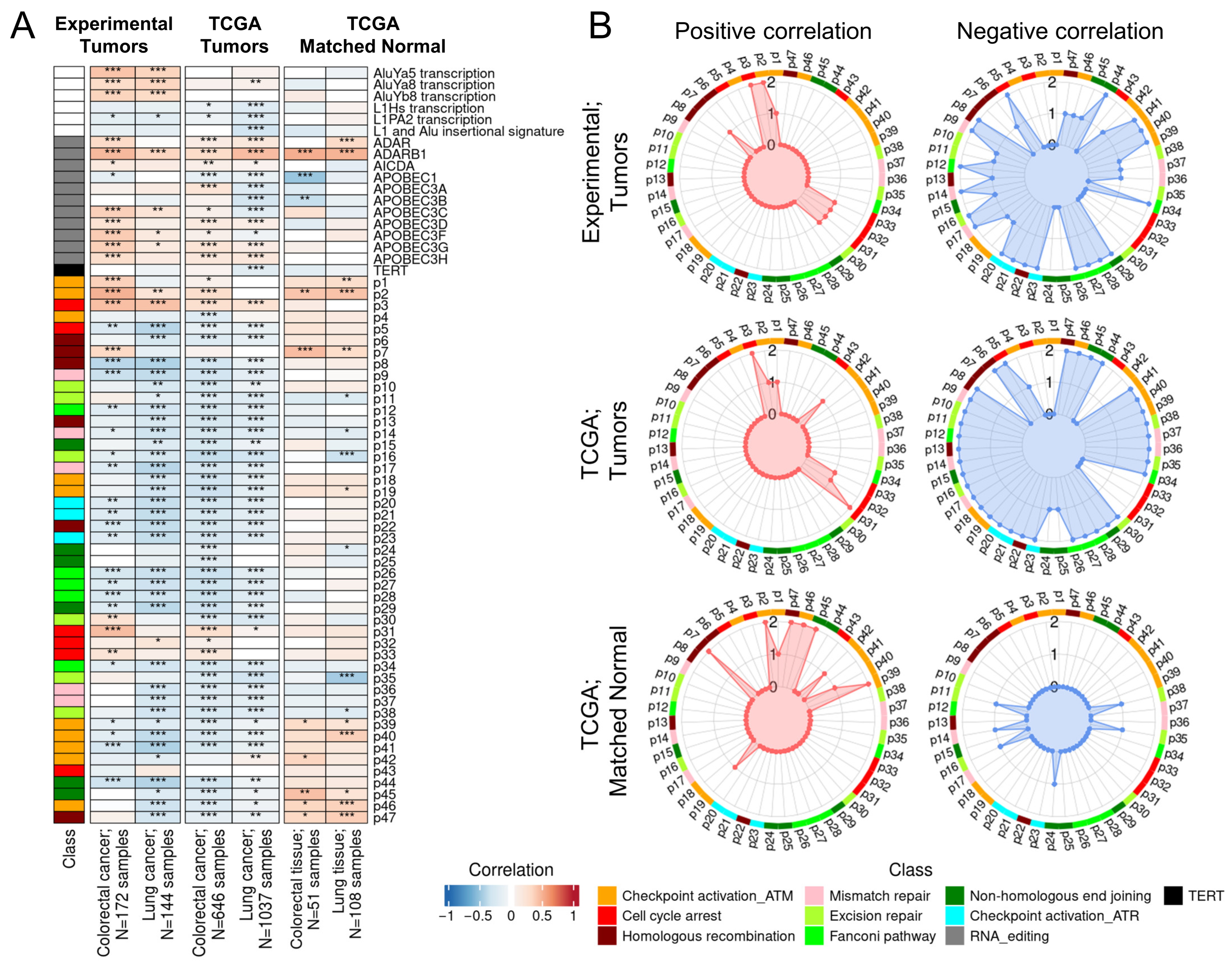 Molecular Context of ADAR-Mediated Editing of Coding RNA in Colorectal ...