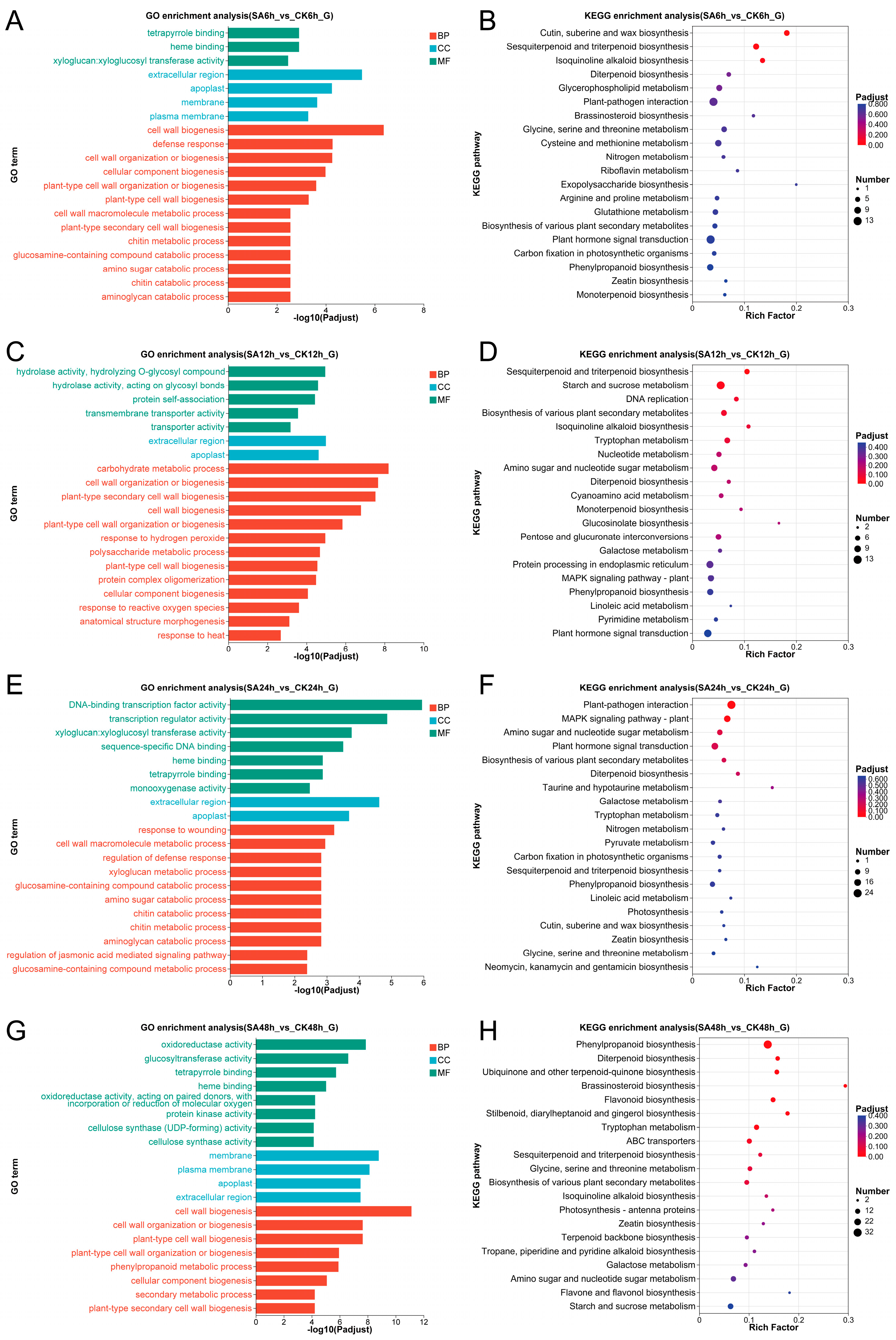 Comparative Transcriptomics and Metabolomics Analysis Revealed the ...