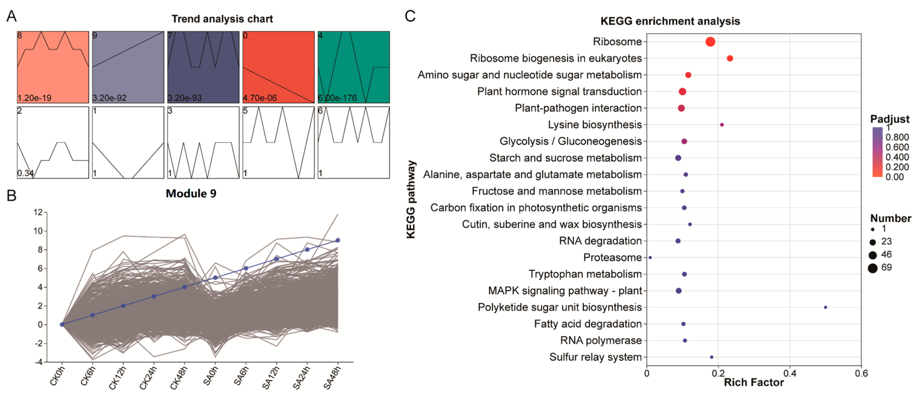 Comparative Transcriptomics and Metabolomics Analysis Revealed the ...