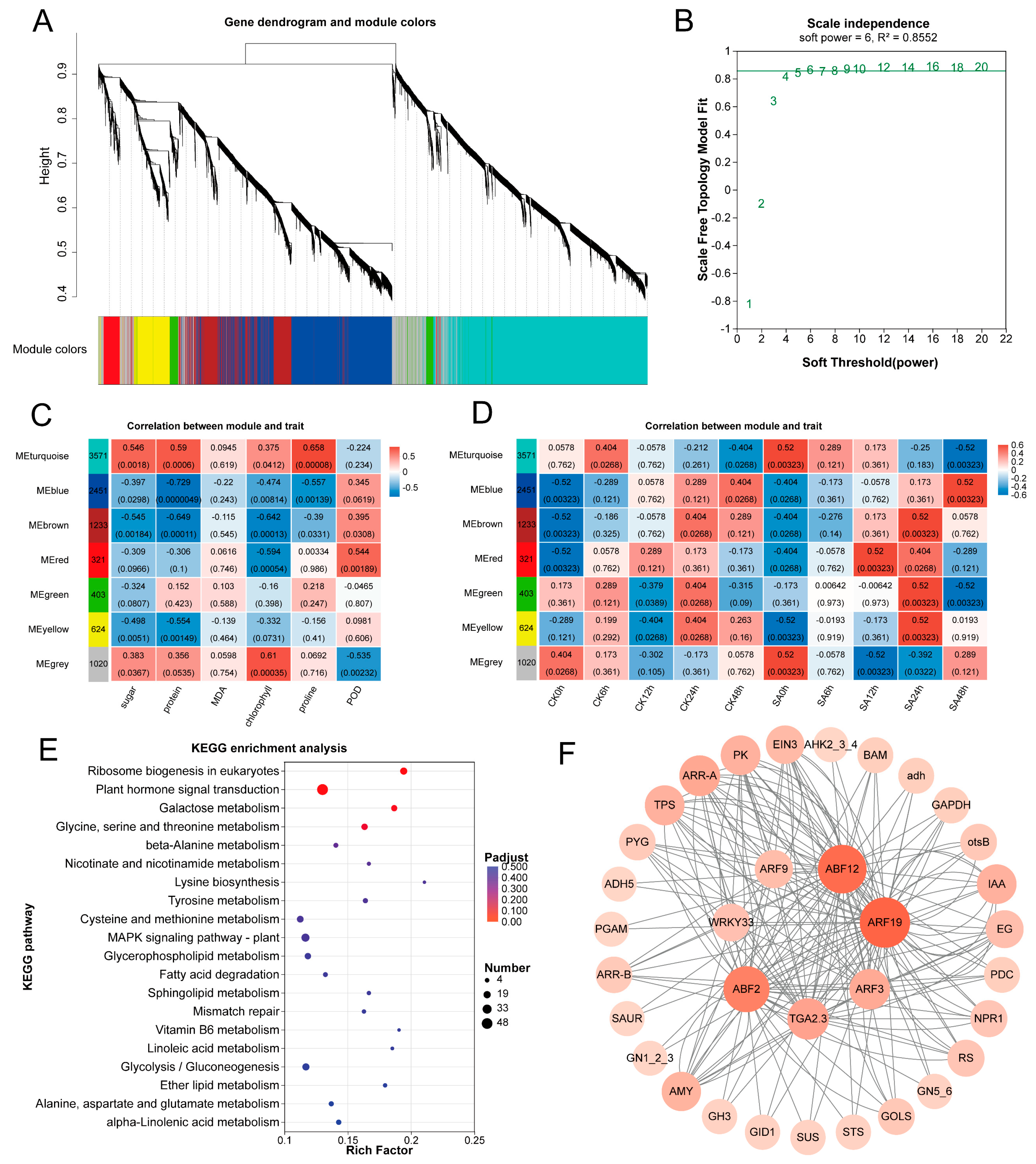 Comparative Transcriptomics and Metabolomics Analysis Revealed the ...
