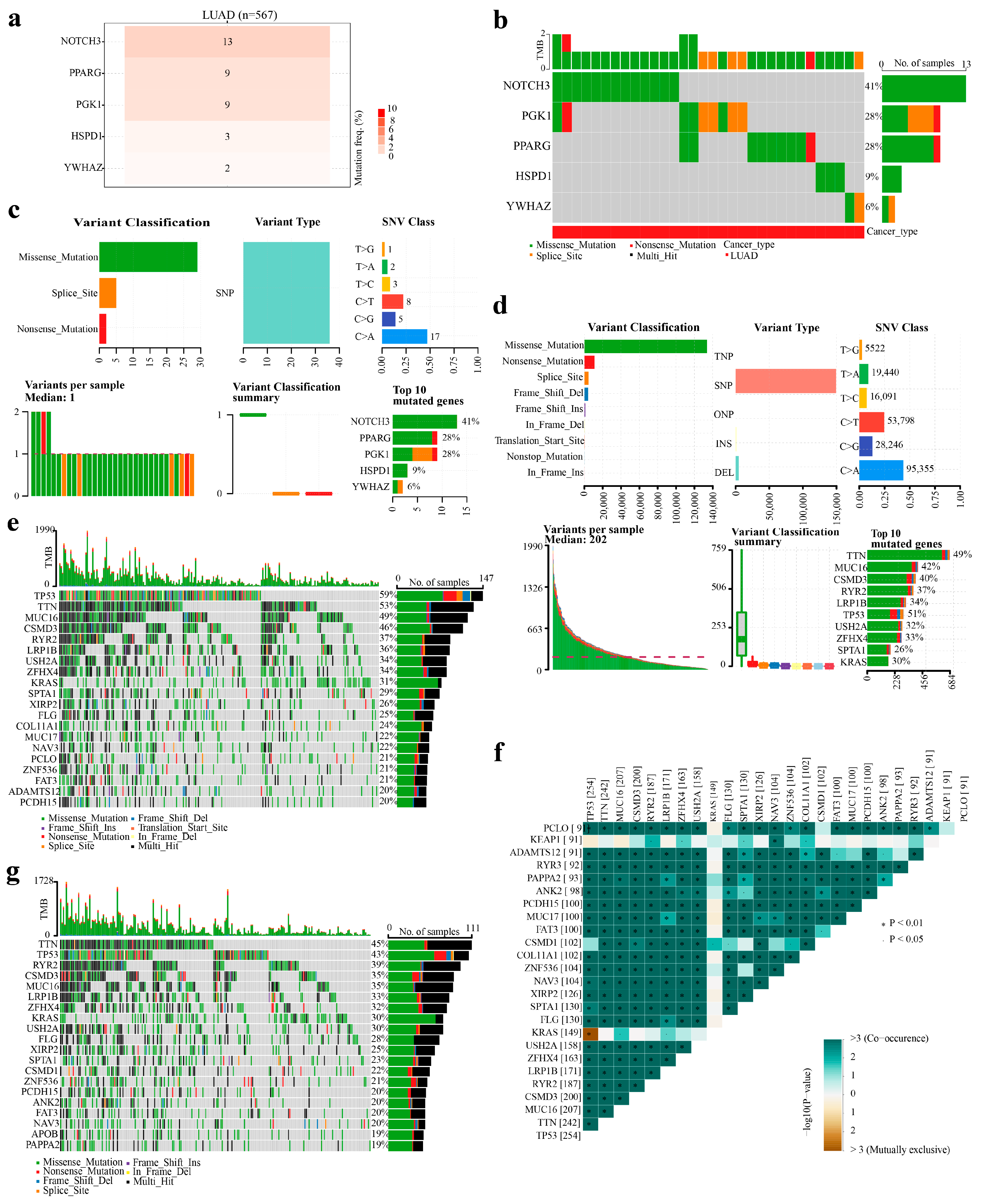 Identification of a Prognostic Gene Signature for Chemoresistance ...