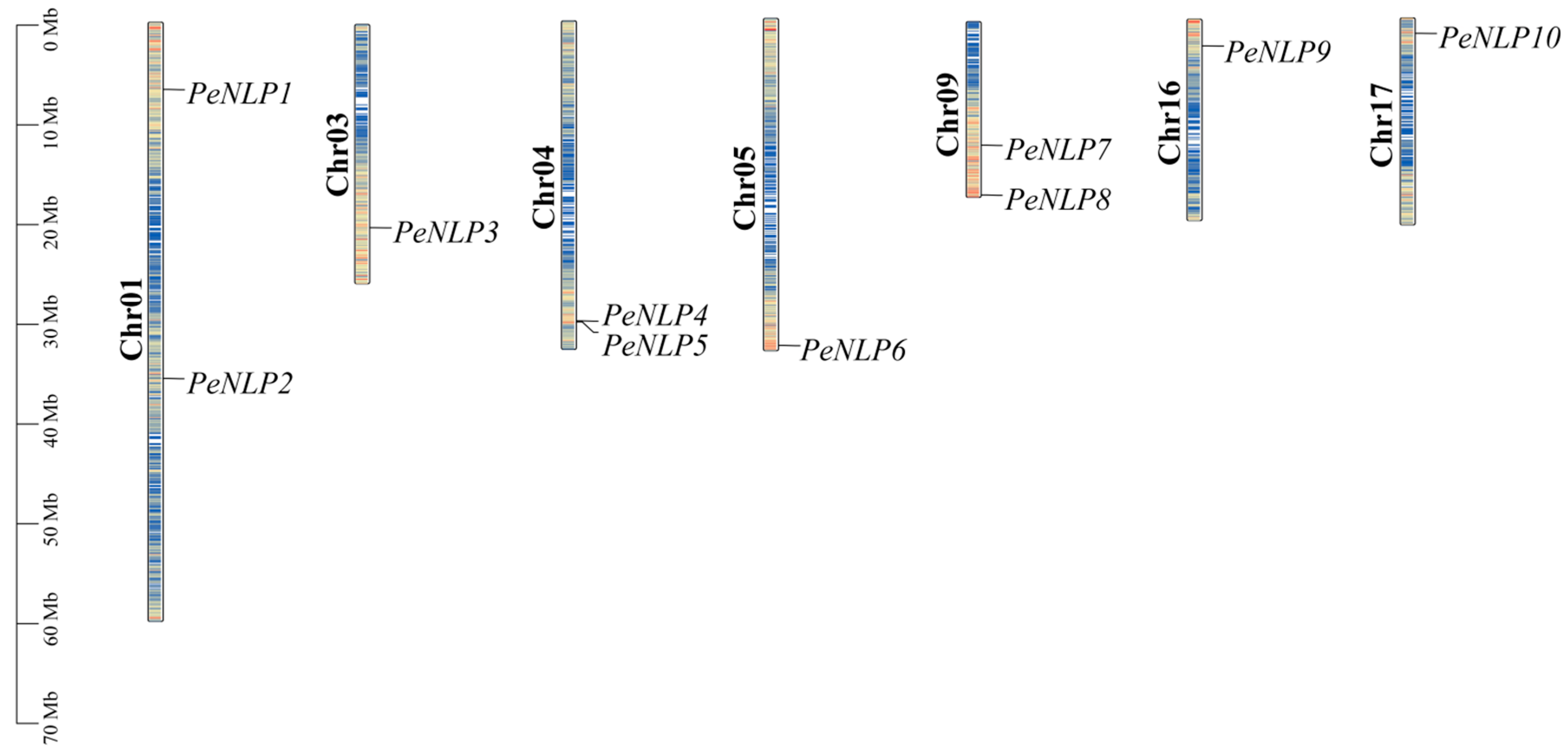 Identification of the NLP Gene Family in Populus euphratica and Its ...