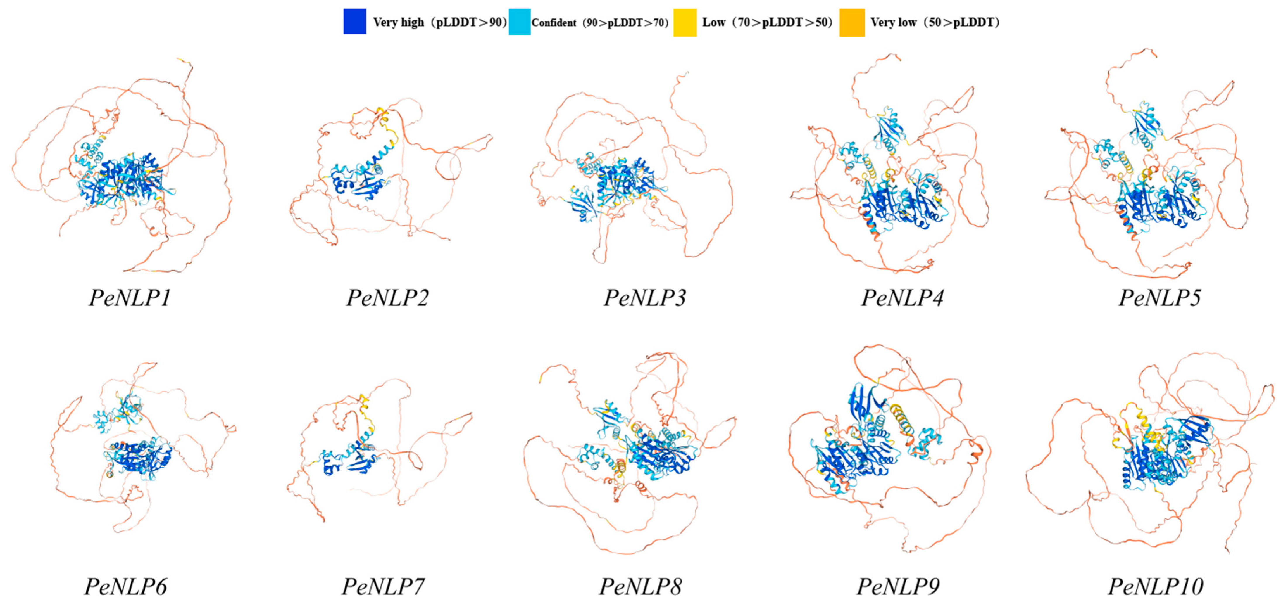 Identification of the NLP Gene Family in Populus euphratica and Its ...