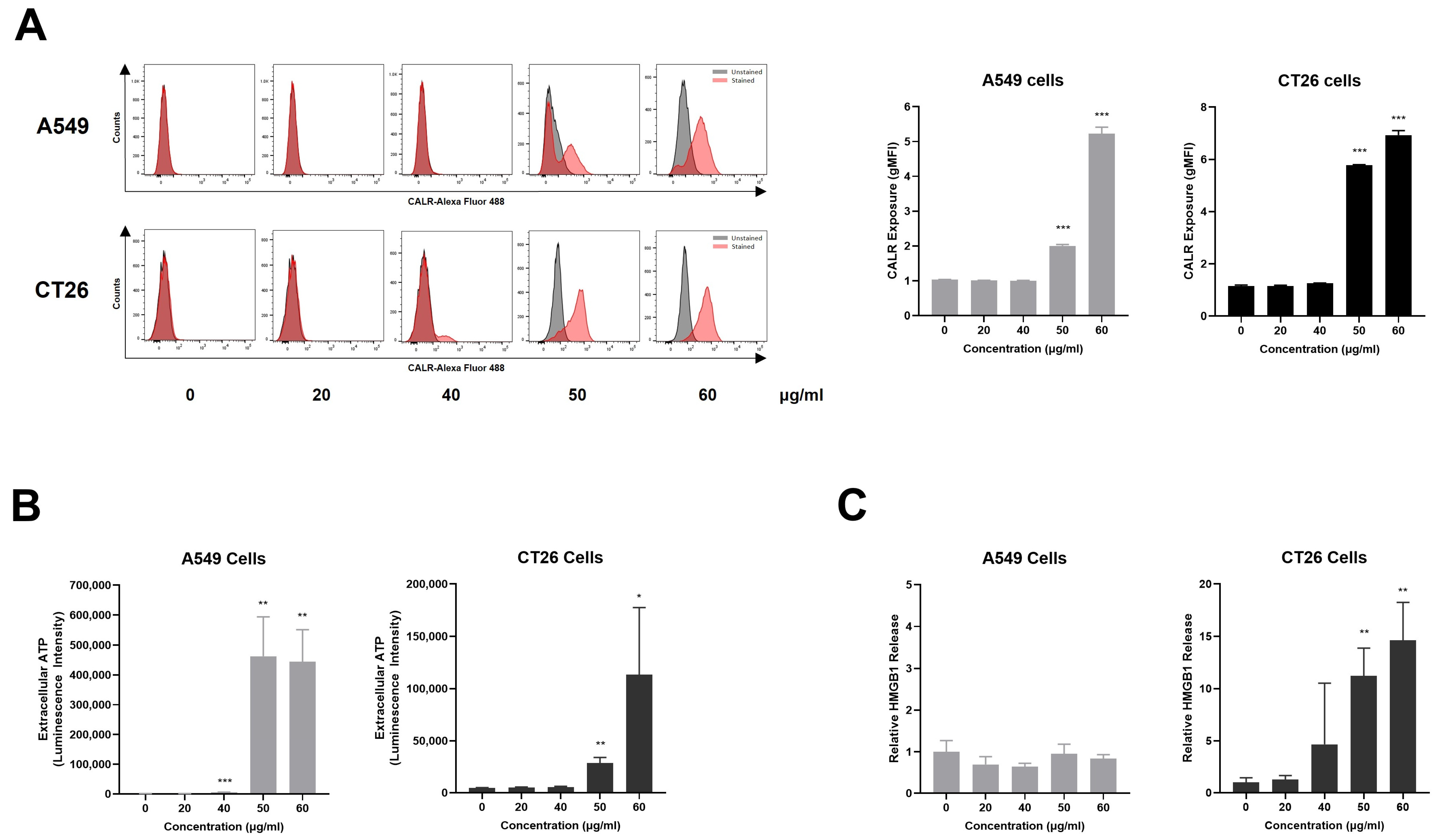 Therapeutic Effects of Akebia quinata Seeds Through Apoptosis and ...