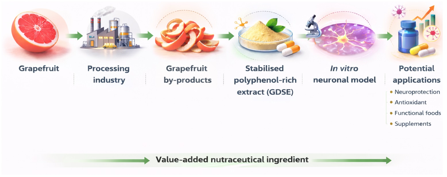 Memophenol Grapefruit By-Products as a Sustainable Source of Bioaccessible ...