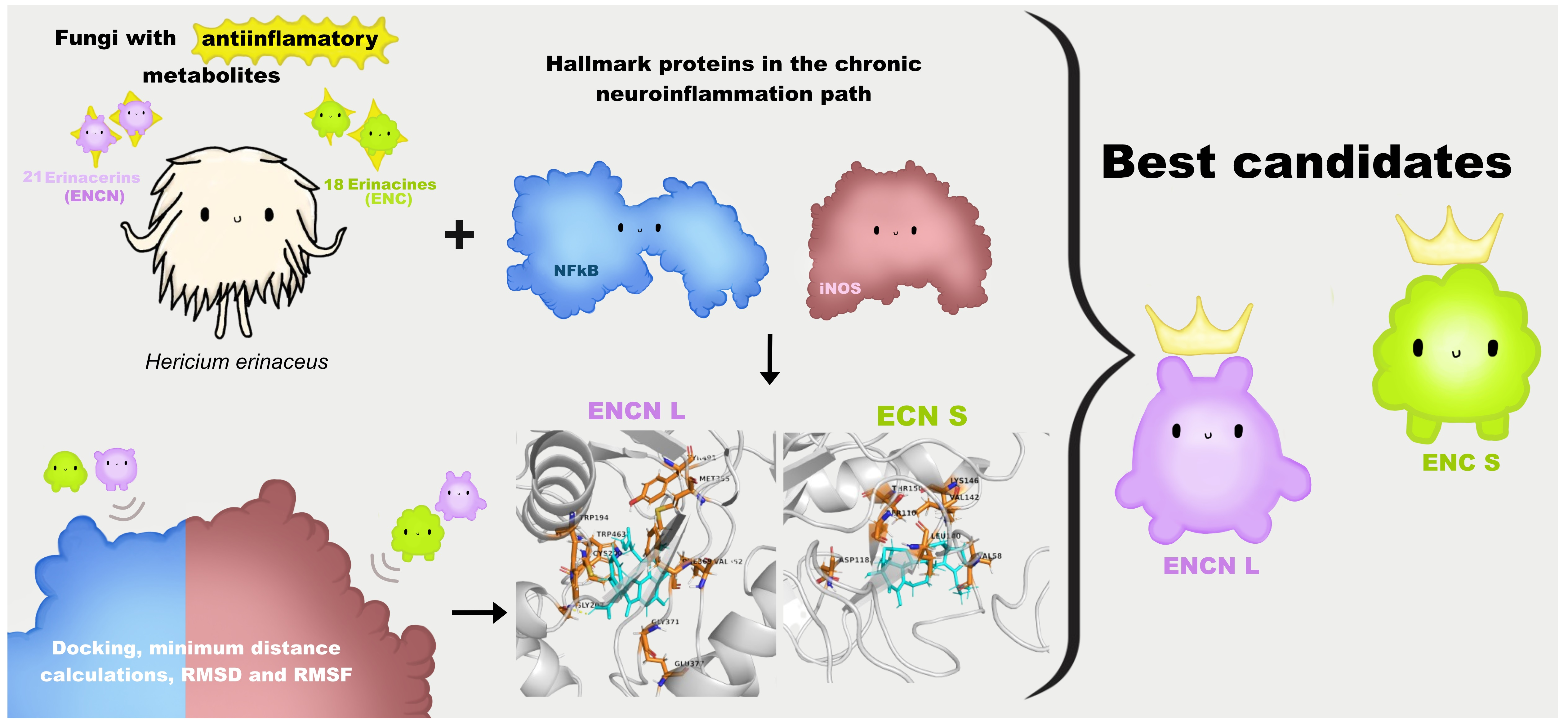 Binding Affinity and Interaction Profiles of Erinacines and Erinacerins ...