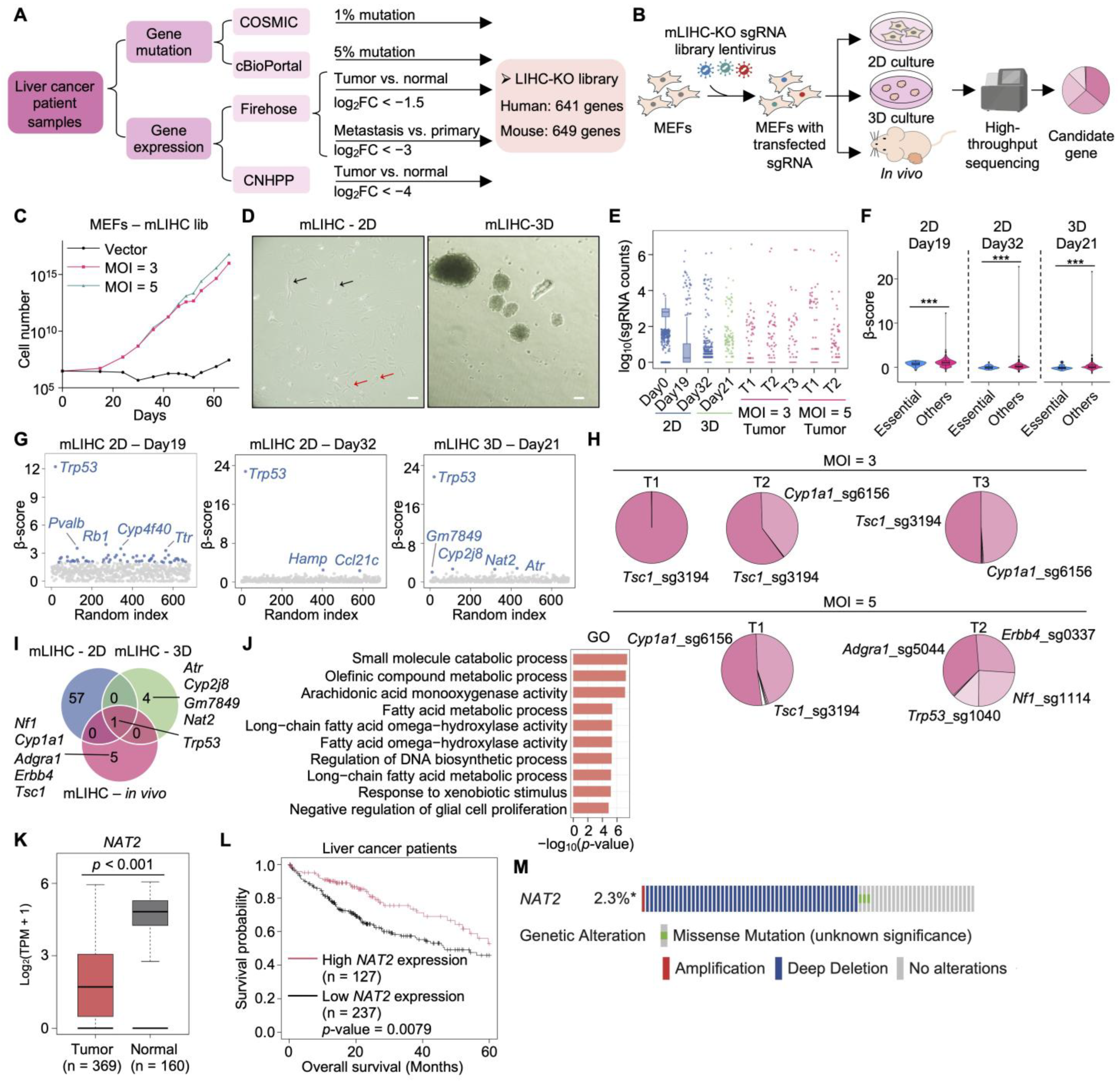 Functional CRISPR Screens Define Genetic Drivers for Cancer ...
