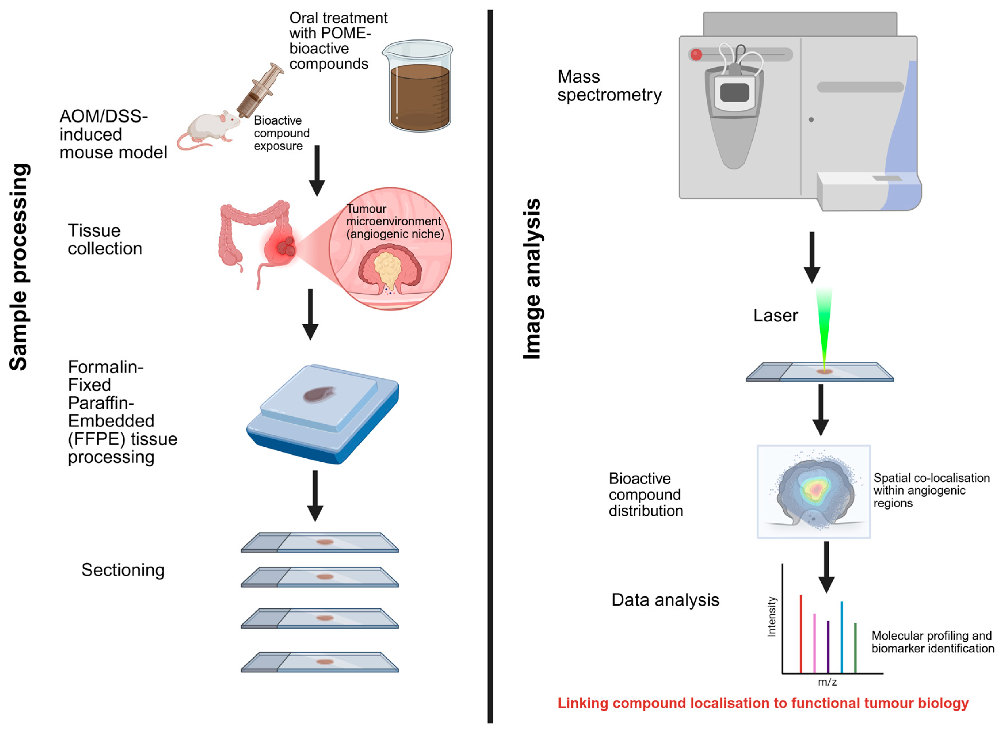 Future Perspectives: Mass Spectrometry for Spatial Localisation of Anti ...