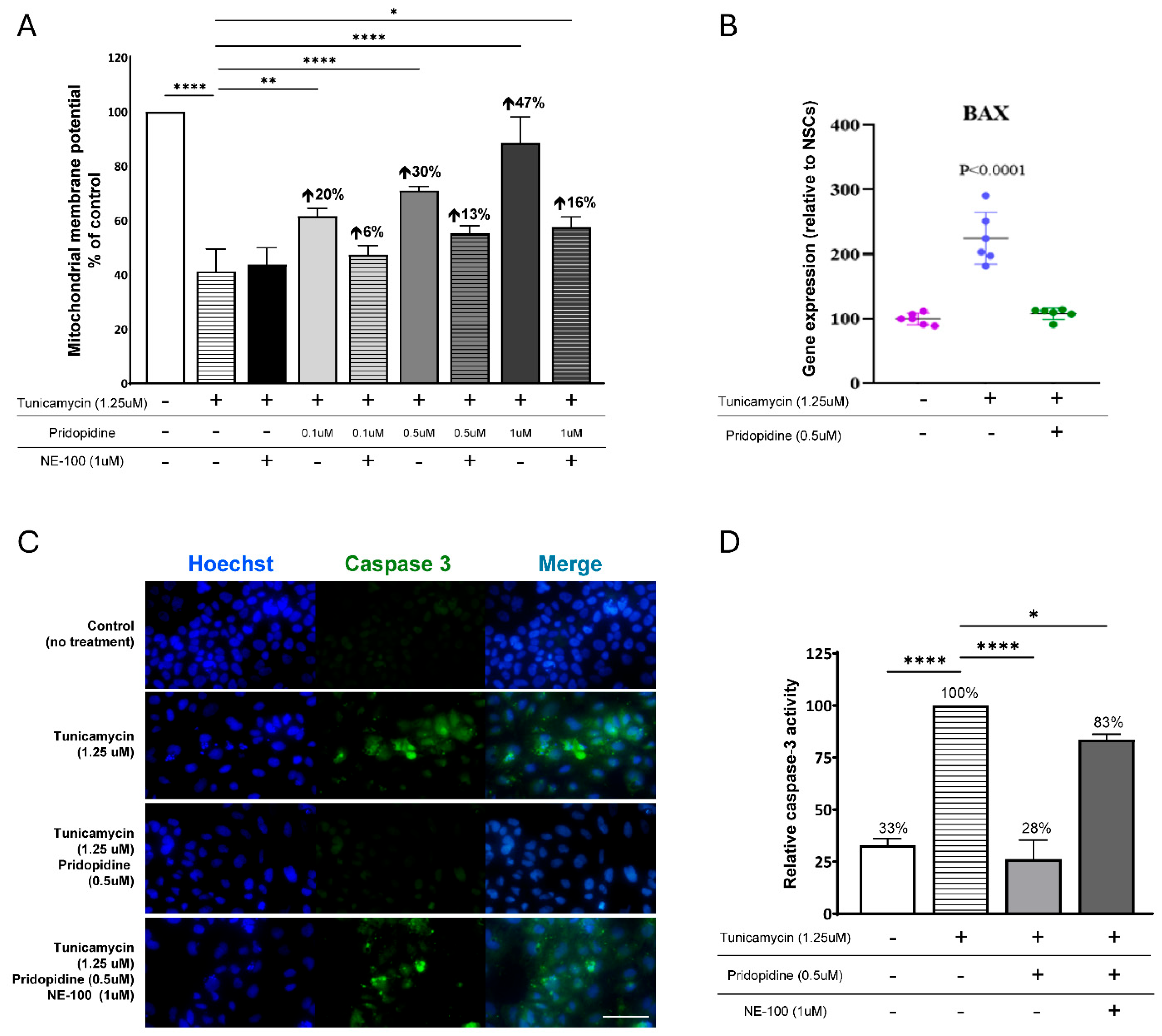 Pridopidine Protects ALS Patient-Derived Neural Progenitor Cells via ...