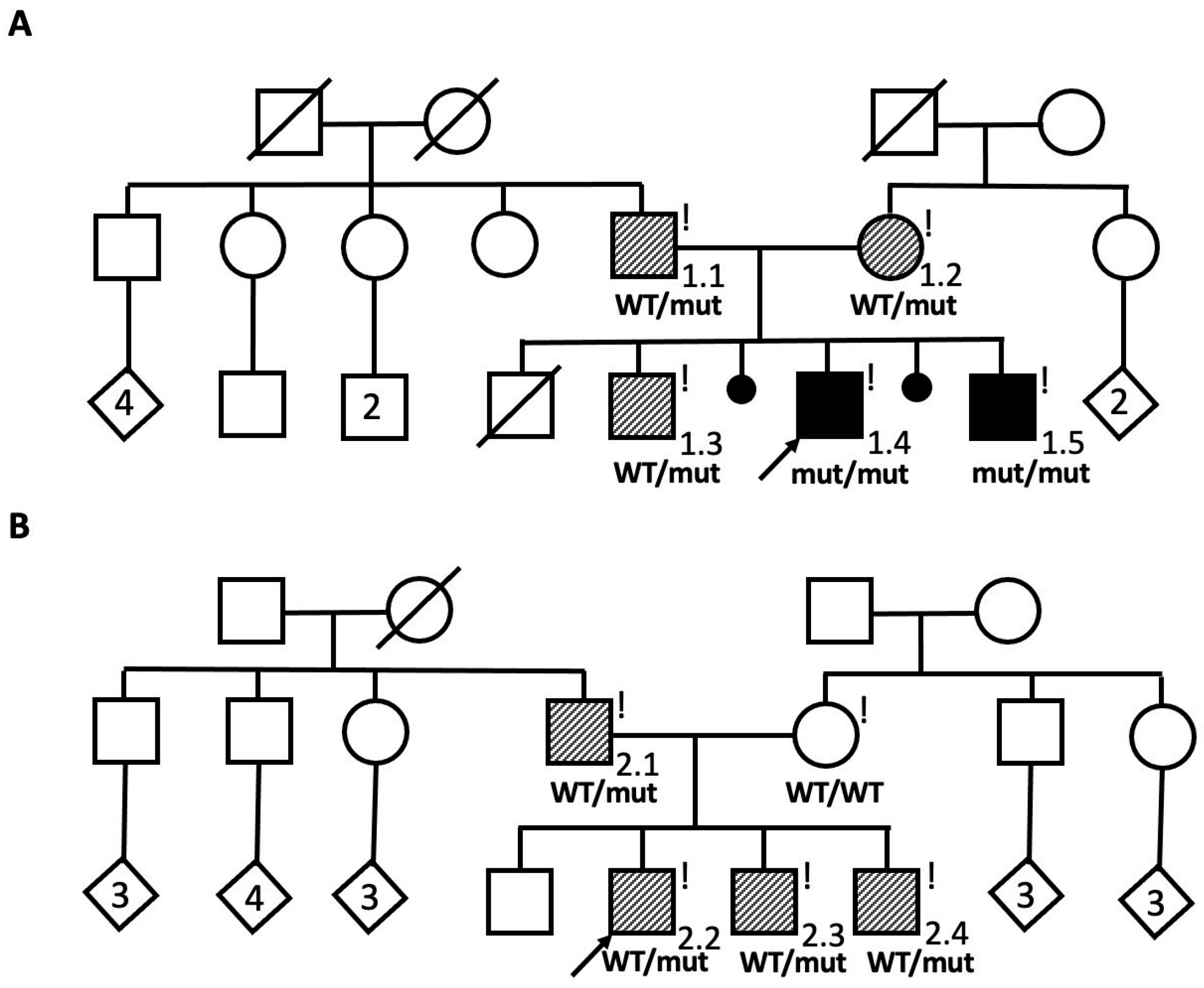 Identification and Targeted Correction of a Pathogenic PMP22 Deep ...