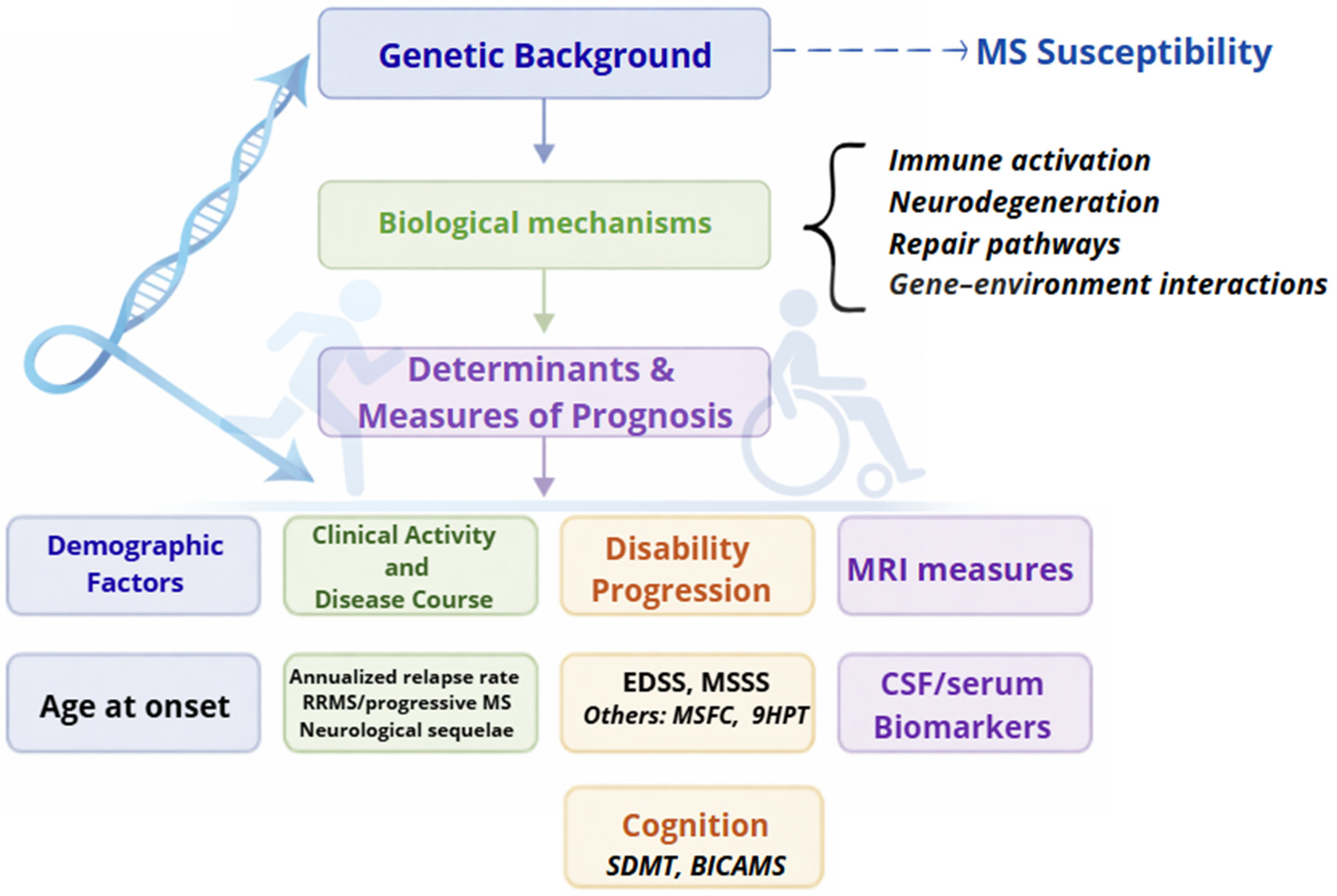 Multiple Sclerosis Inheritance Pattern Genetic Prognostic Factors in Multiple Sclerosis: Key Discoveries and ...