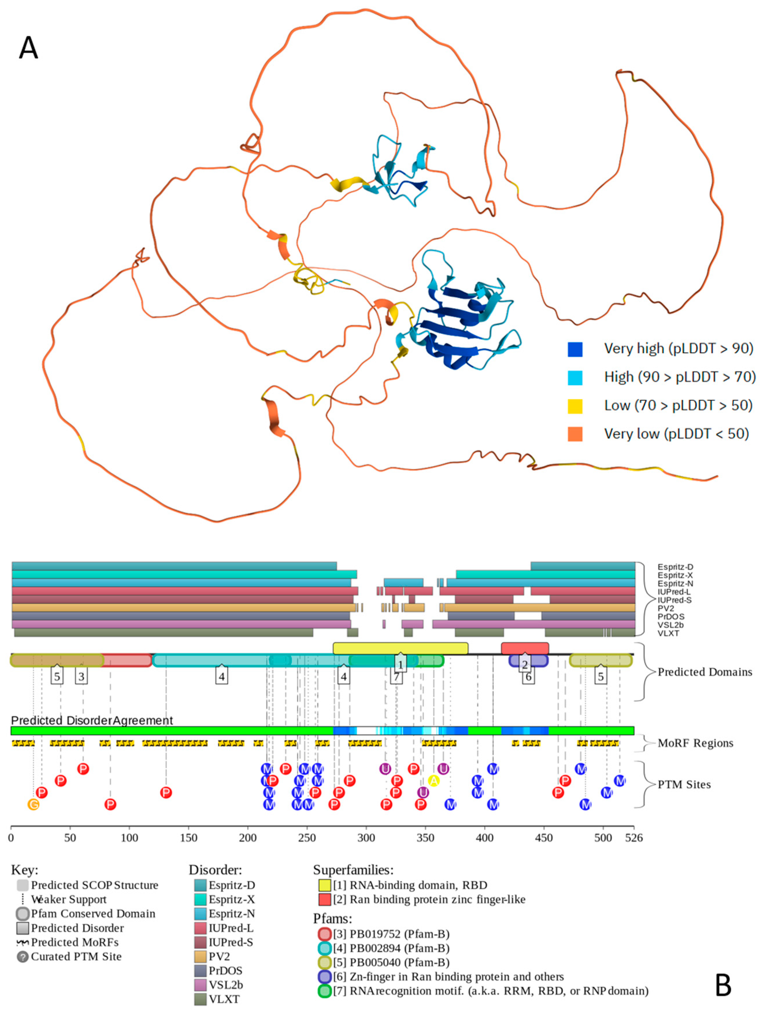 Amyloid-β, Tau Protein, α-Synuclein, TDP-43, and FUS in Mixed Pathology ...