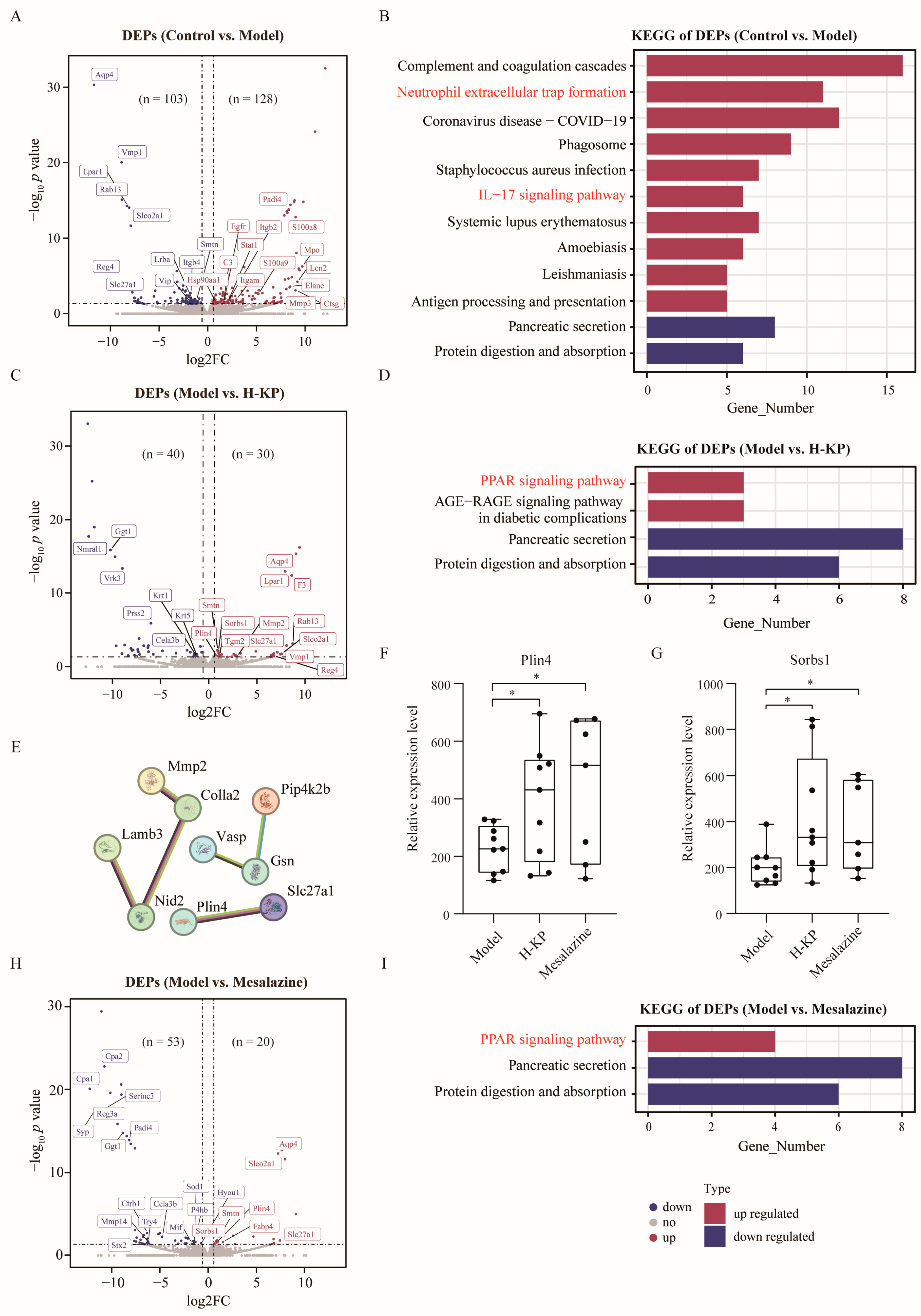 Integrated Multi-Omics Analysis Reveals Activation of the PPAR ...